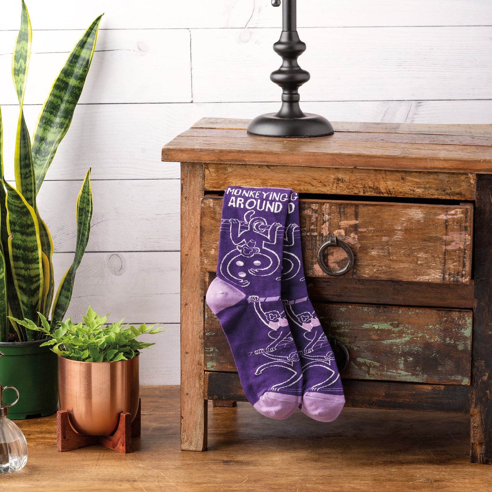 3 Pack Animal Lovers Socks | Funny Novelty Socks with Cool Design