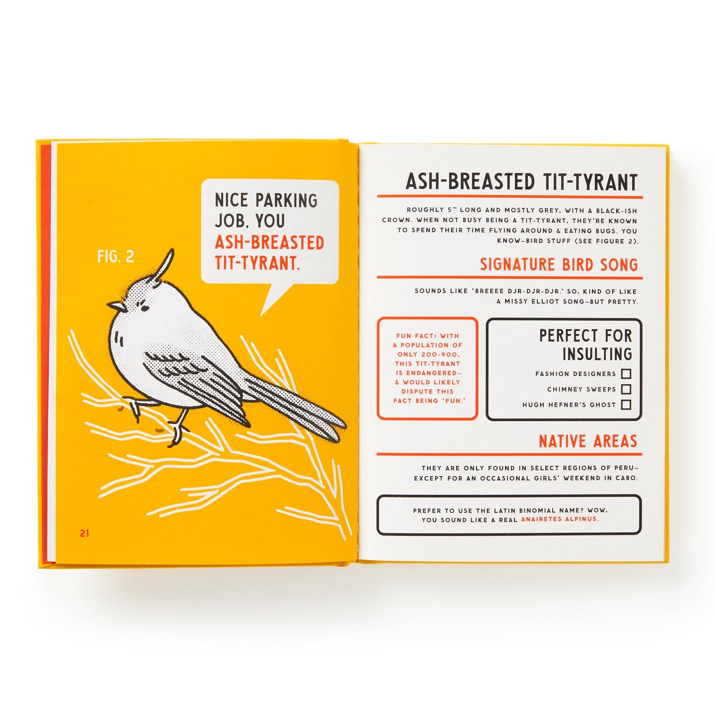 Brass Monkey Illustrated Guide To Birds That Sound Like Insults