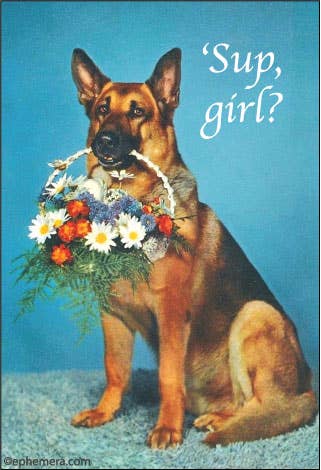 A vintage-style magnet with dog portrait showing a German Shepherd sitting against a blue background, holding a basket of white, red, and blue flowers in its mouth, with the text "'Sup, girl?" in white script at the upper right.