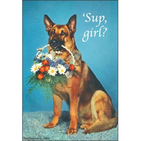 A vintage-style magnet with dog portrait showing a German Shepherd sitting against a blue background, holding a basket of white, red, and blue flowers in its mouth, with the text "'Sup, girl?" in white script at the upper right.