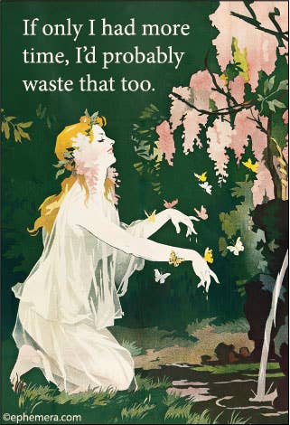 Illustration of a woman in a garden with butterflies and flowers, accompanied by a humorous quote "If only I had more time, I'd probably waste that too."