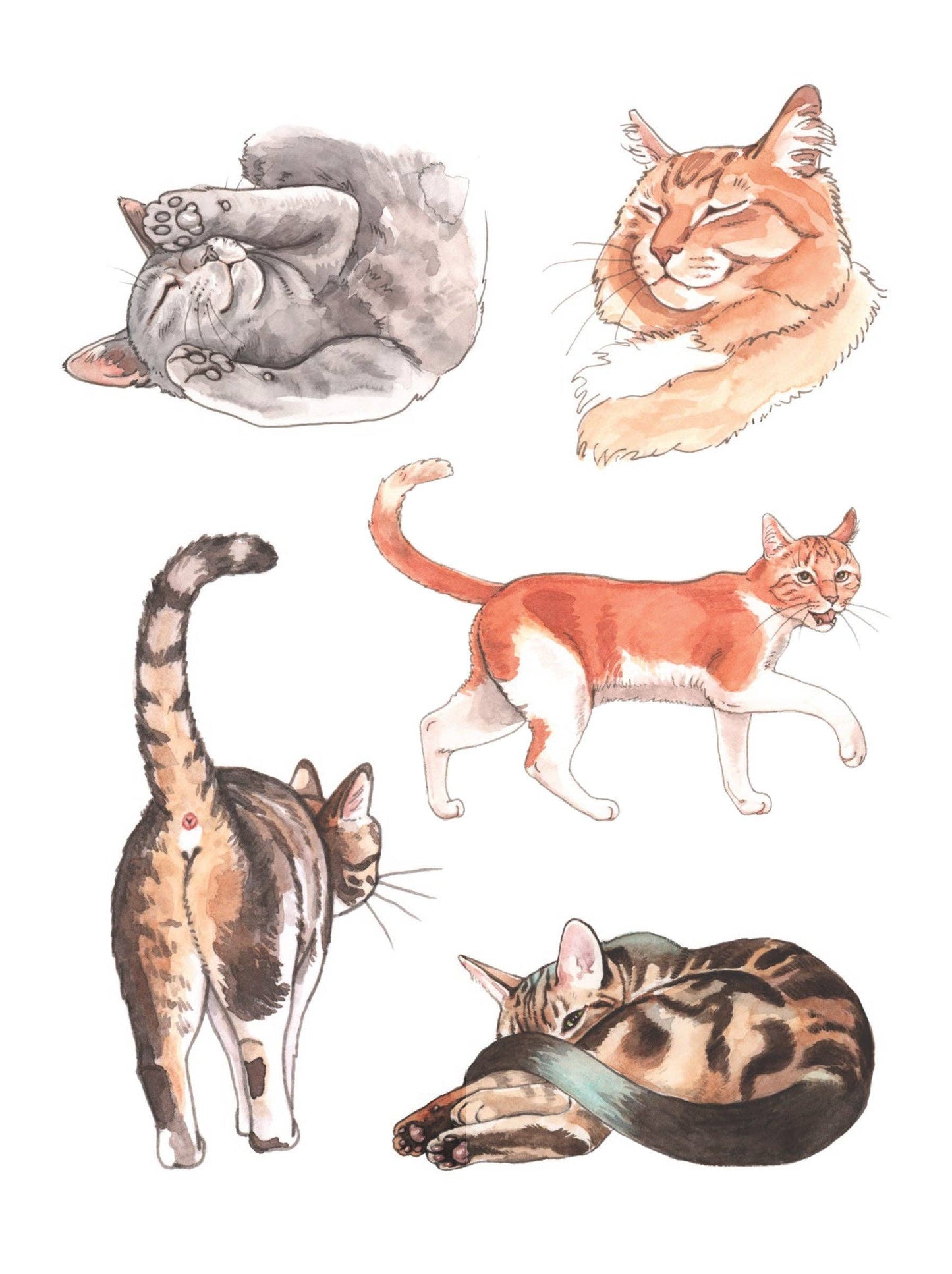 Cat's Meow Sticker Book | 100 Feline Stickers