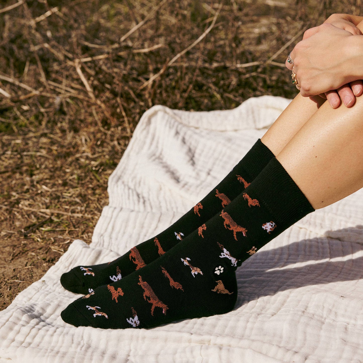 Men's Socks that Save Dogs (Paw Parade) | Fair Trade | Fits Men's Sizes 8.5-13