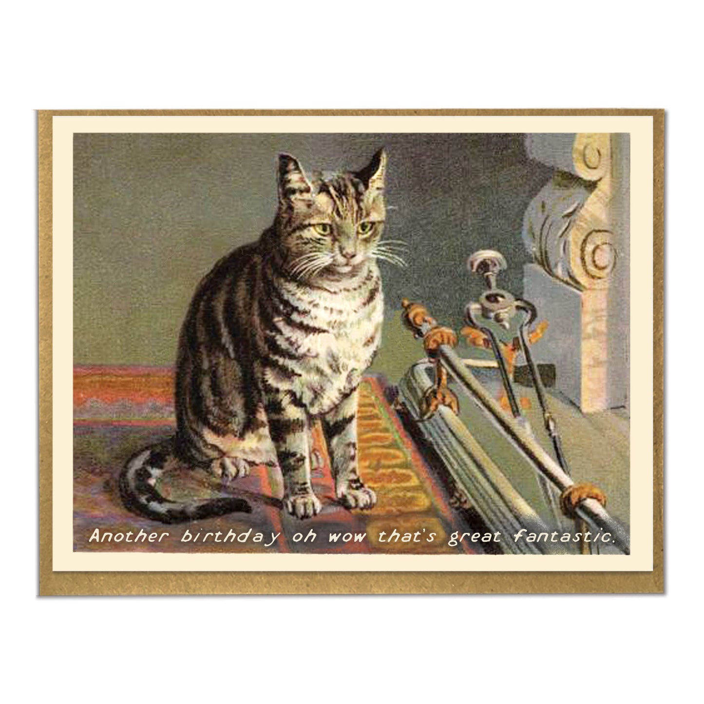 Another Birthday Oh Wow That’s Great Fantastic Card – Funny Vintage Cat Birthday Card | Sarcastic Milestone Humor