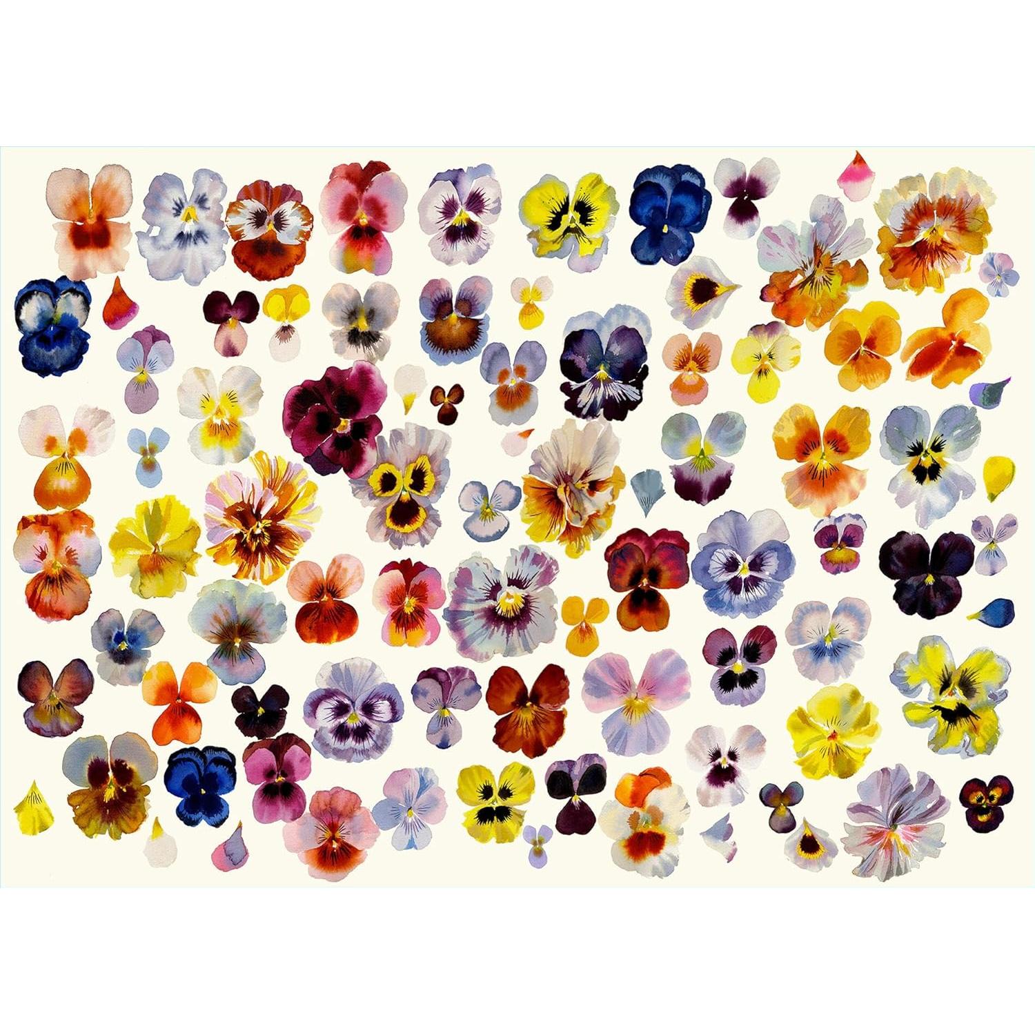 Colorful pressed flowers arranged in a pattern on a white background