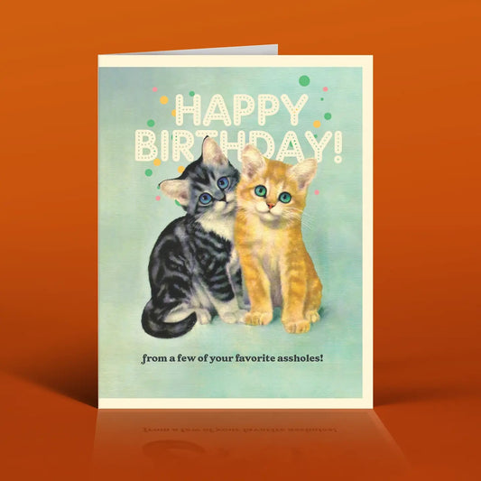 A**hole Cats Happy Birthday Card | Cute Kittens Greeting Card