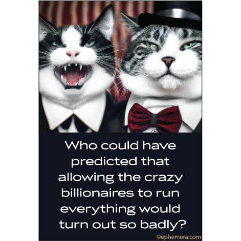 Allowing The Crazy Billionaires To Run Everything Rectangular Magnet | Cats Fridge Magnet | 3" x 2"