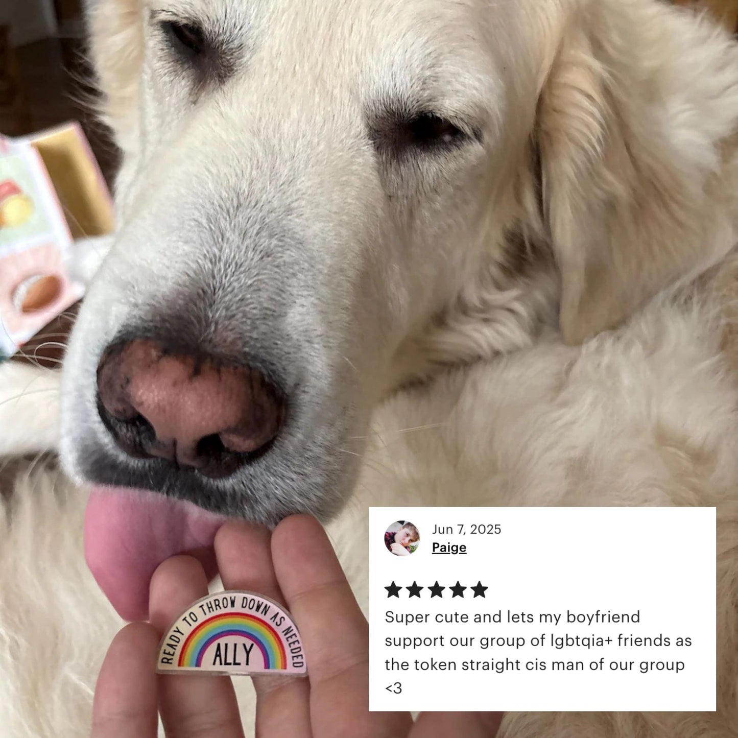 Ally Ready to Throw Down LGBTQ Rainbow Acrylic Lapel Pin