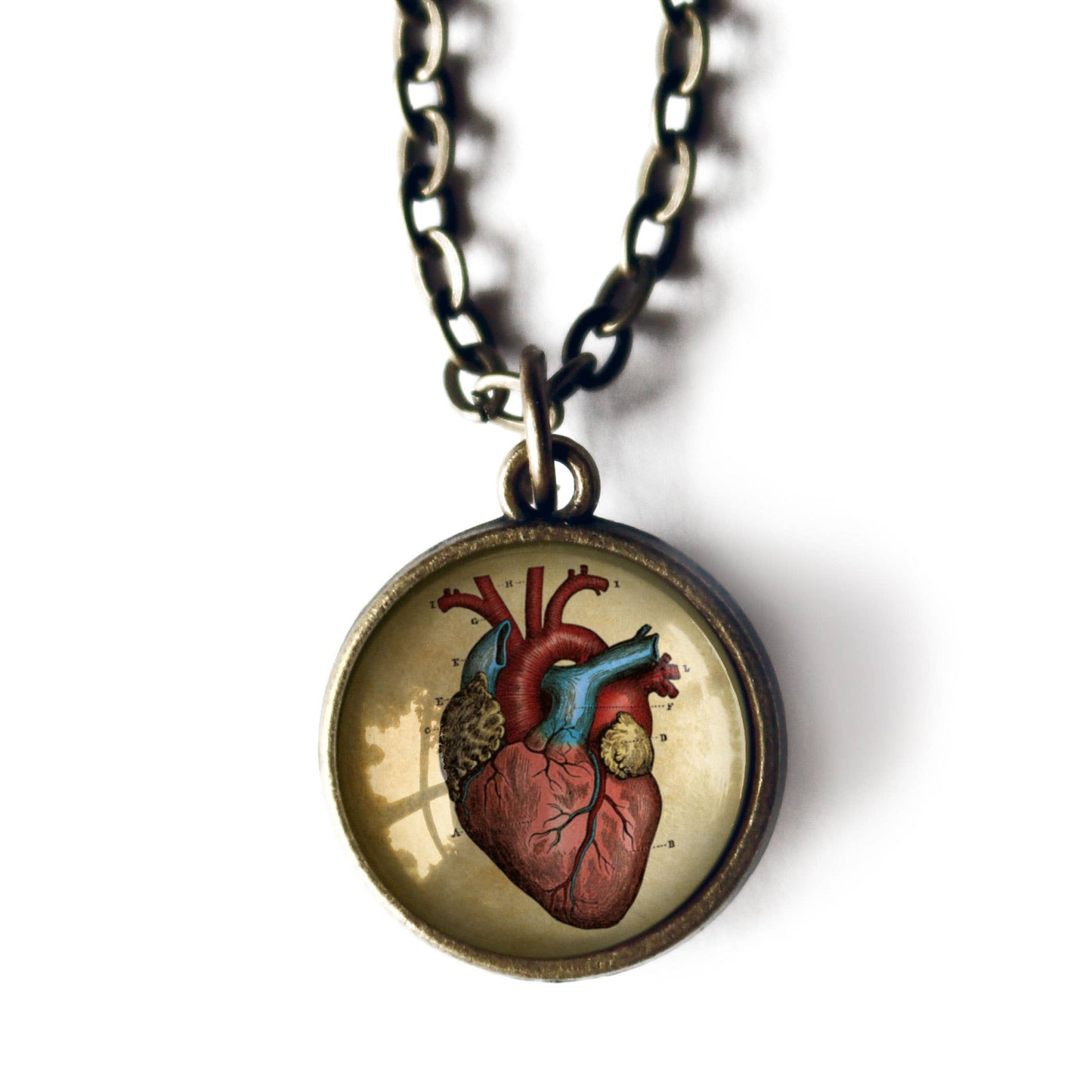 Anatomical Human Heart Reversible Pendant Necklace | Glass Cabochon Bronze Necklace | Gothic Anatomy Jewelry