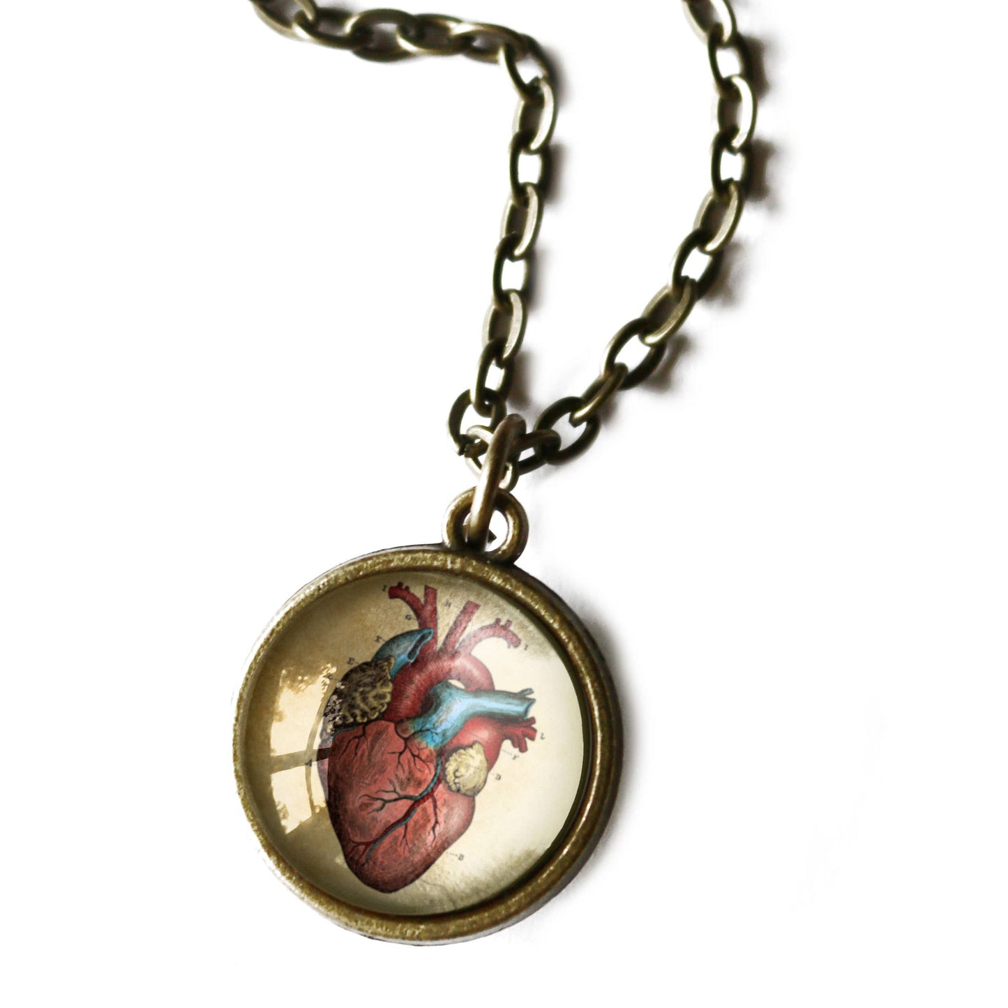 Anatomical Human Heart Reversible Pendant Necklace | Glass Cabochon Bronze Necklace | Gothic Anatomy Jewelry