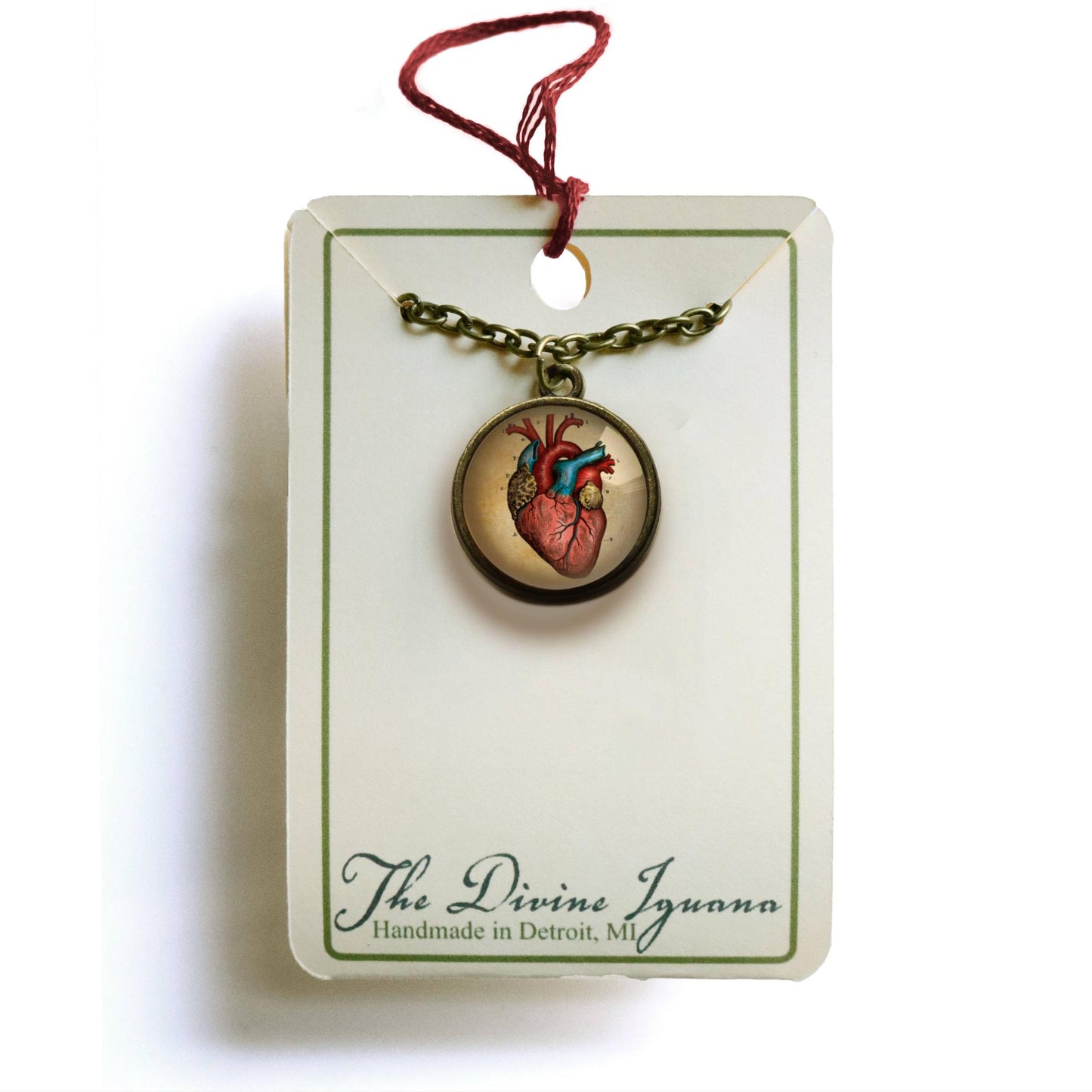 Anatomical Human Heart Reversible Pendant Necklace | Glass Cabochon Bronze Necklace | Gothic Anatomy Jewelry
