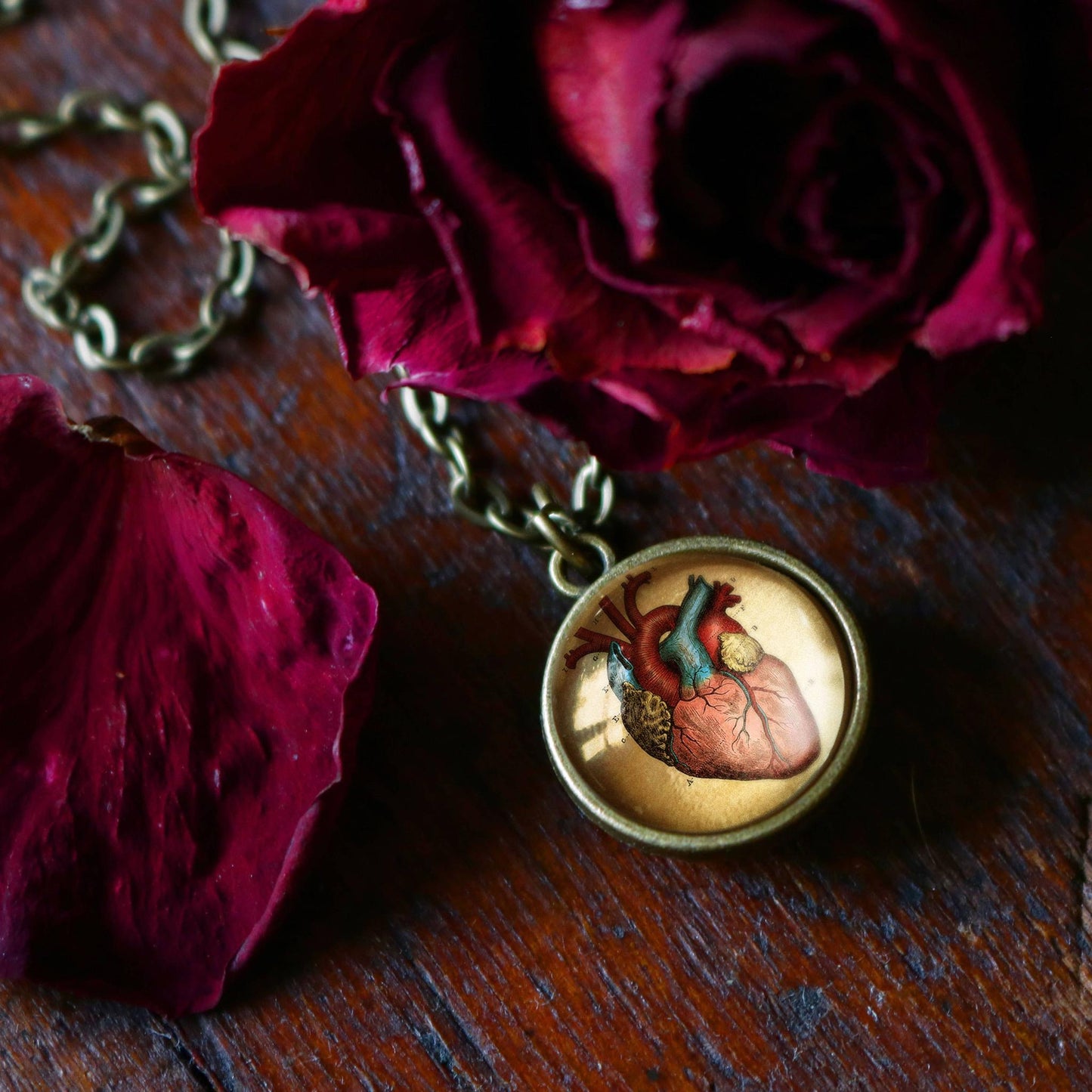 Anatomical Human Heart Reversible Pendant Necklace | Glass Cabochon Bronze Necklace | Gothic Anatomy Jewelry