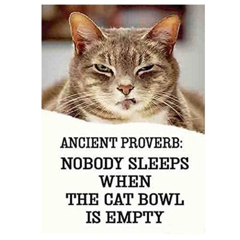 Ancient Proverb: Nobody Sleeps When The Cat Bowl Is Empty Magnet