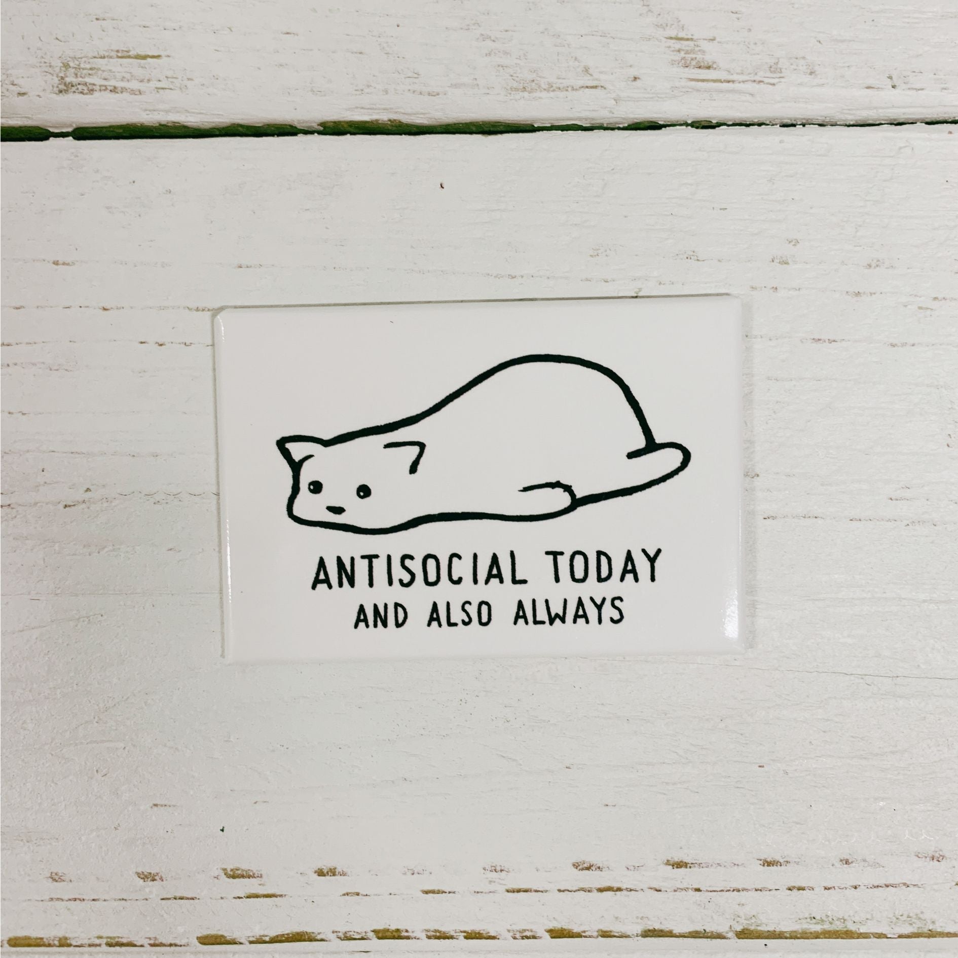 Antisocial Today and Also Always Cute Cat Rectangular Magnet | Fridge Magnetic Surface Decor | 3" x 2"