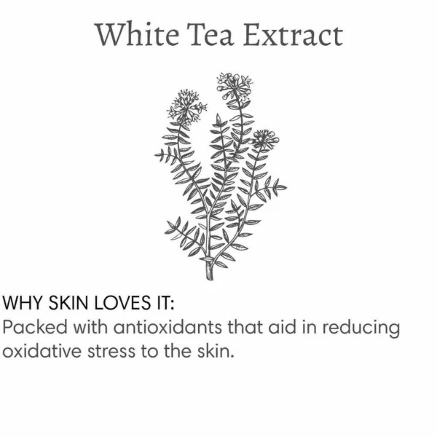 Apricot Brandy Bubble Bath – Oat Oil & White Tea Extract | Warm Fruity Scent | 120ml / 4 fl oz