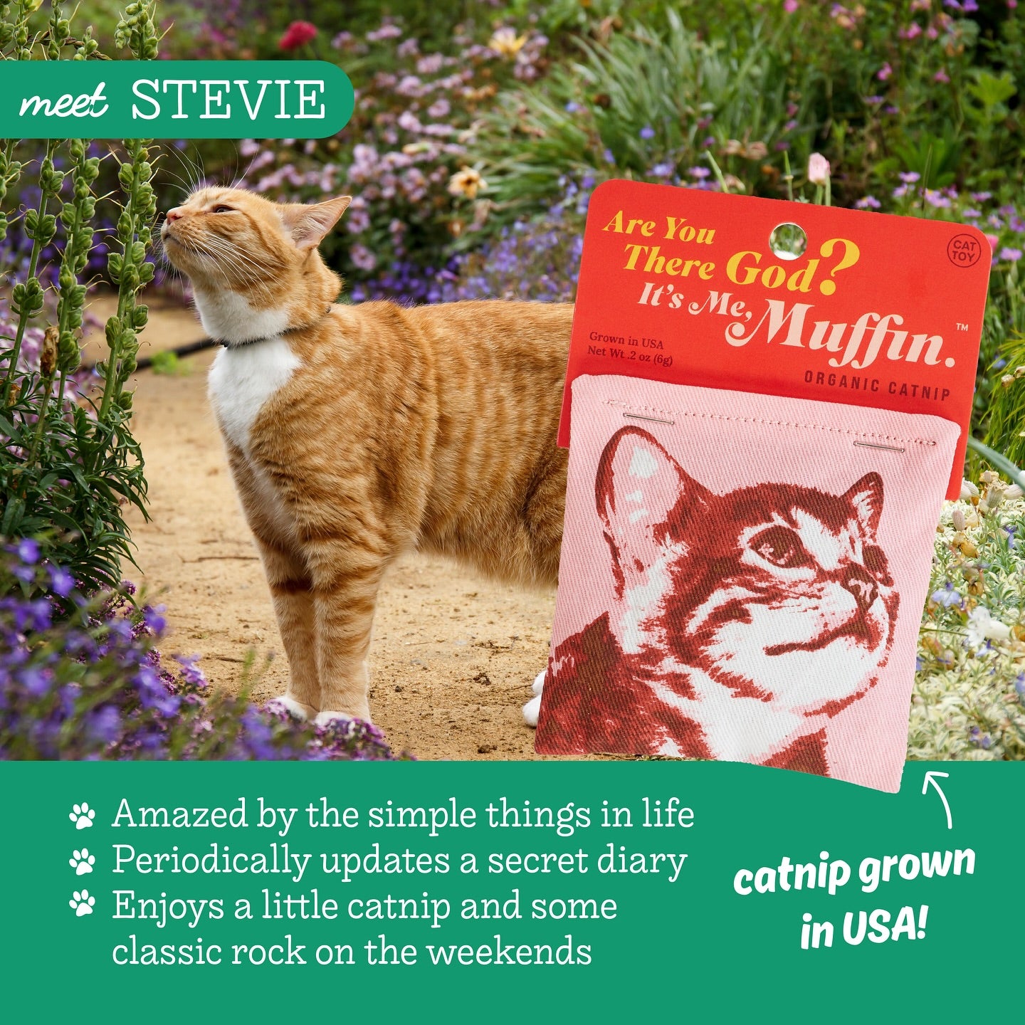 Are You There God? It's Me Muffin Catnip Toy | Premium Organic Catnip in Illustrated Cotton Pouch | BlueQ at GetBullish