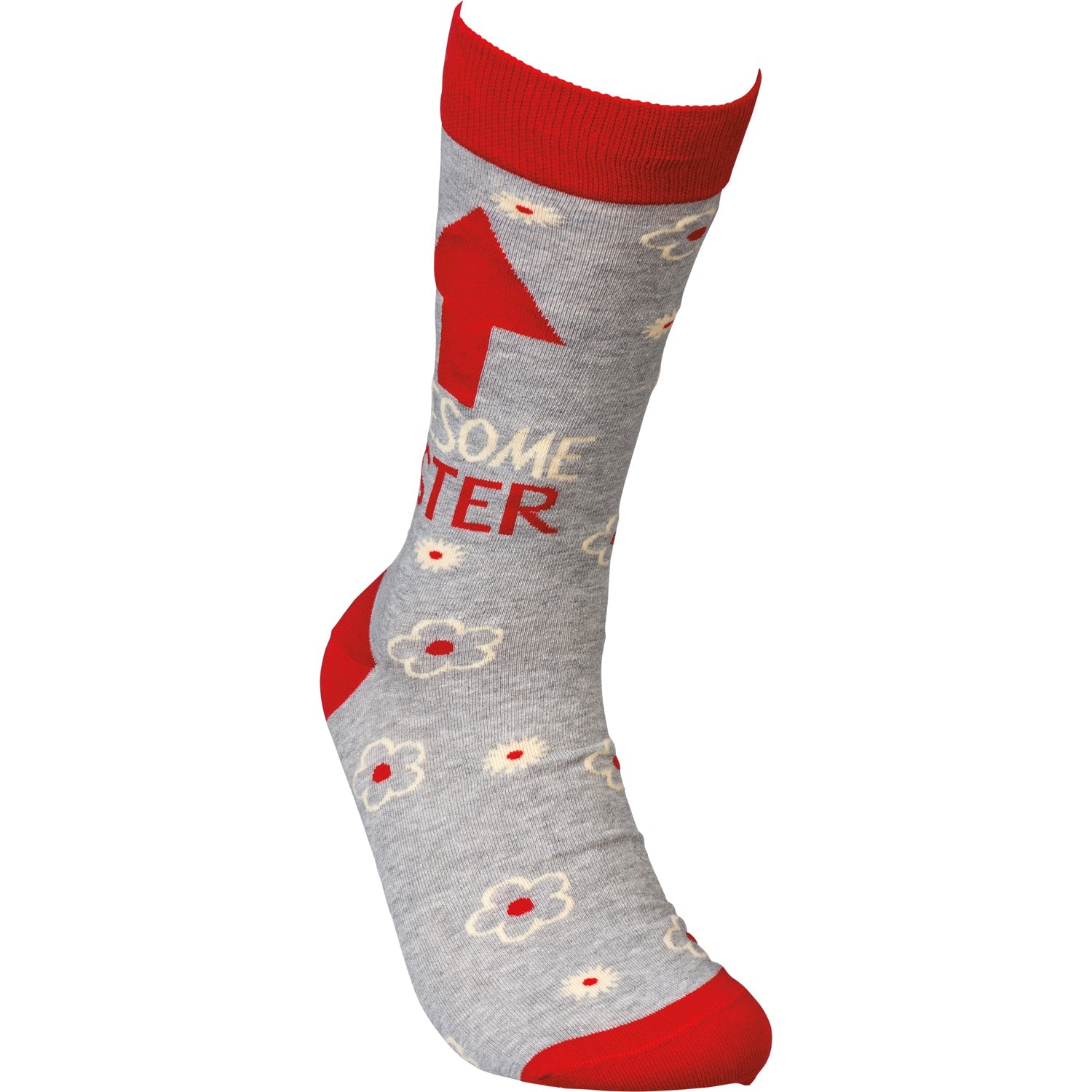 Awesome Sister Socks in Red and Gray