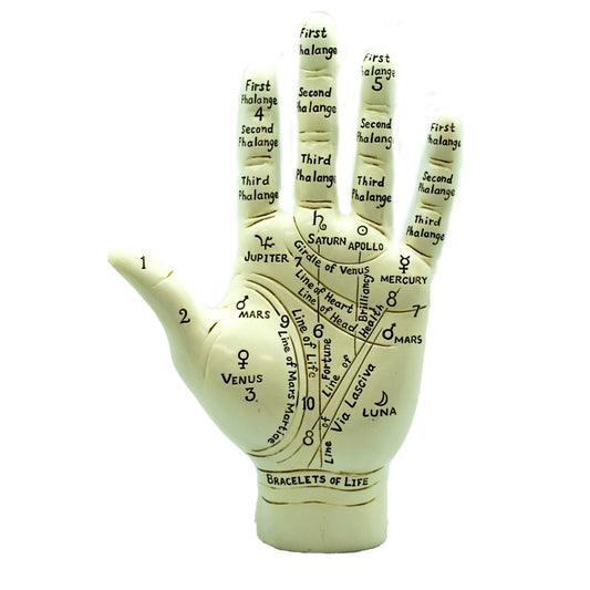 BIG Palmistry Hand | Tabletop Figurine Home Decor | 10"