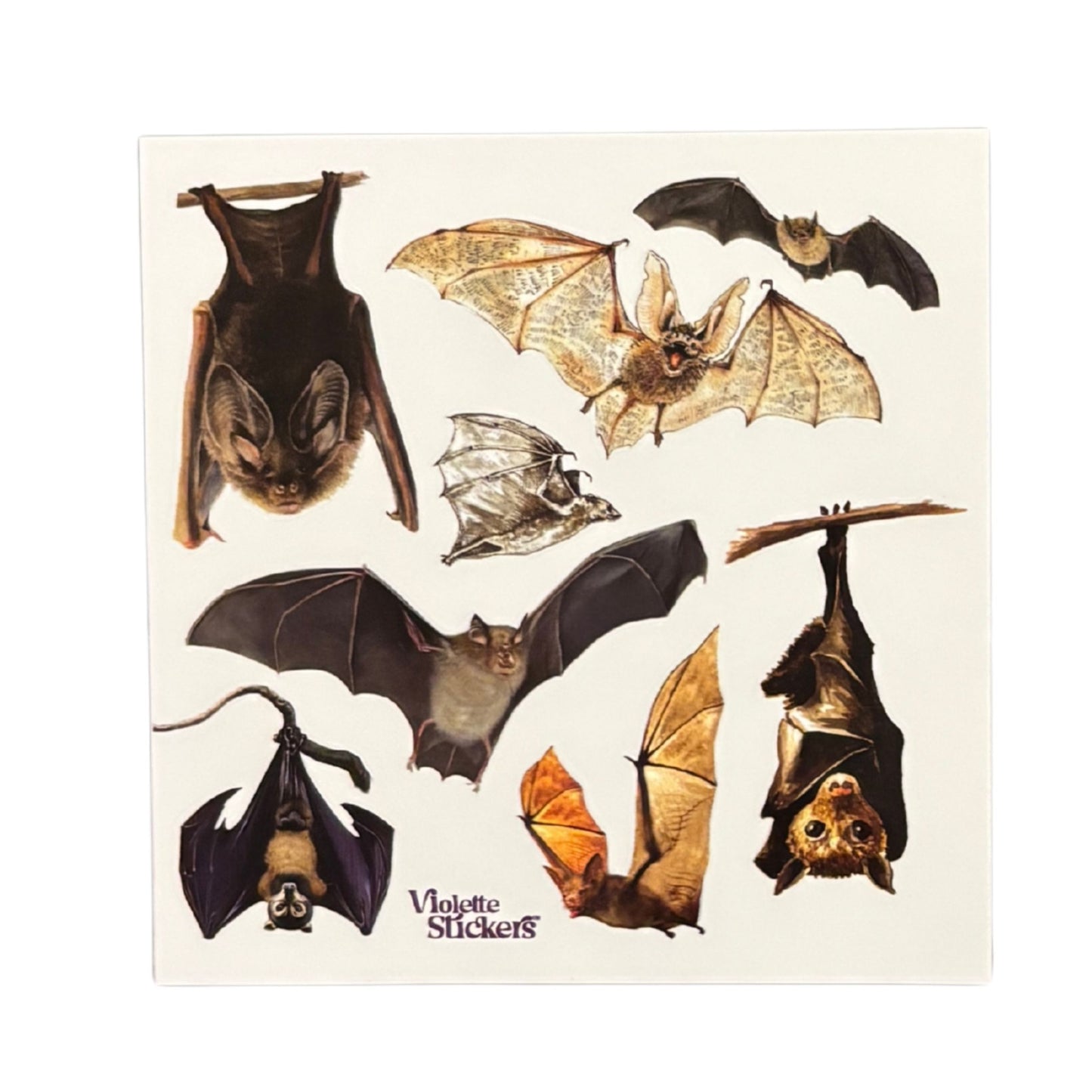 Bats Stickers | 4" x 4" Paper Stickers | 2 Sheets