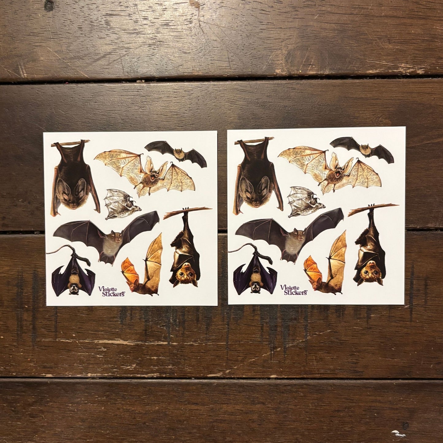 Bats Stickers | 4" x 4" Paper Stickers | 2 Sheets