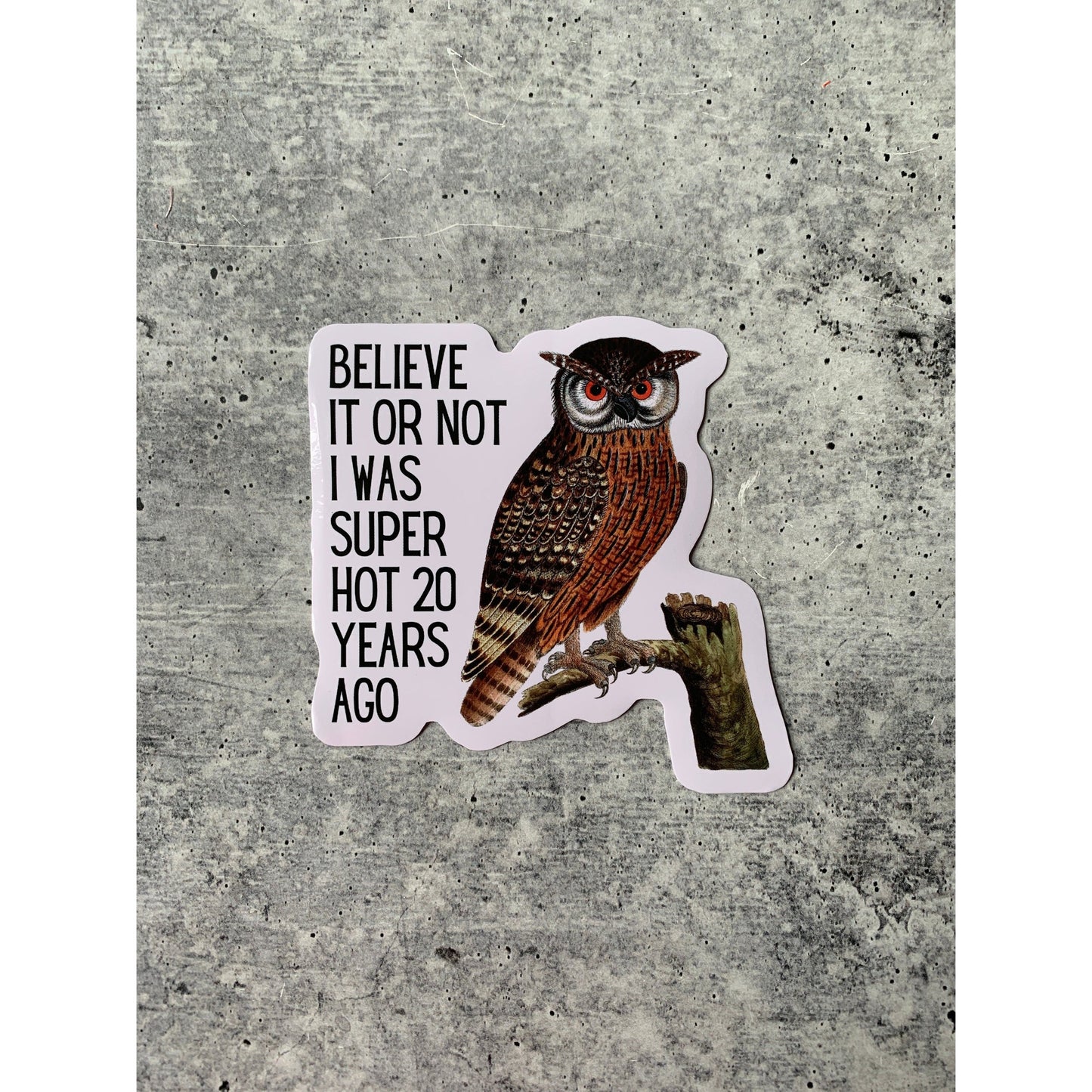 Believe It or Not I was Super Hot Owl Vinyl Sticker | Die Cut Decal