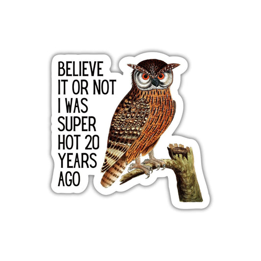 Believe It or Not I was Super Hot Owl Vinyl Sticker | Die Cut Decal