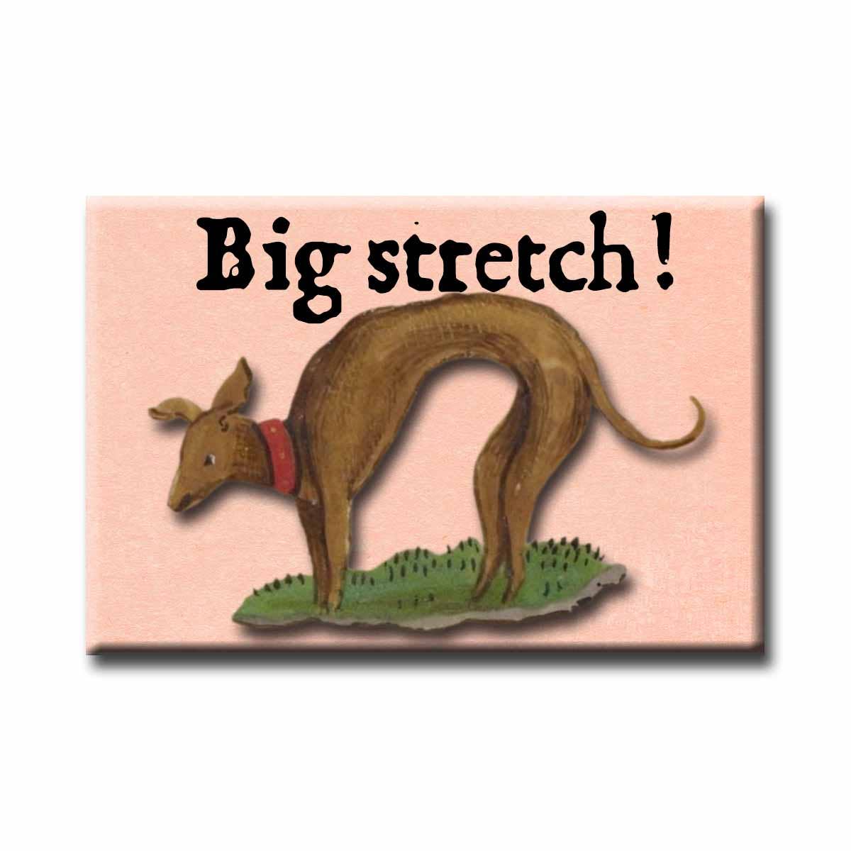 Big Stretch Medieval Marginalia Refrigerator Magnet | Funny History Magnet