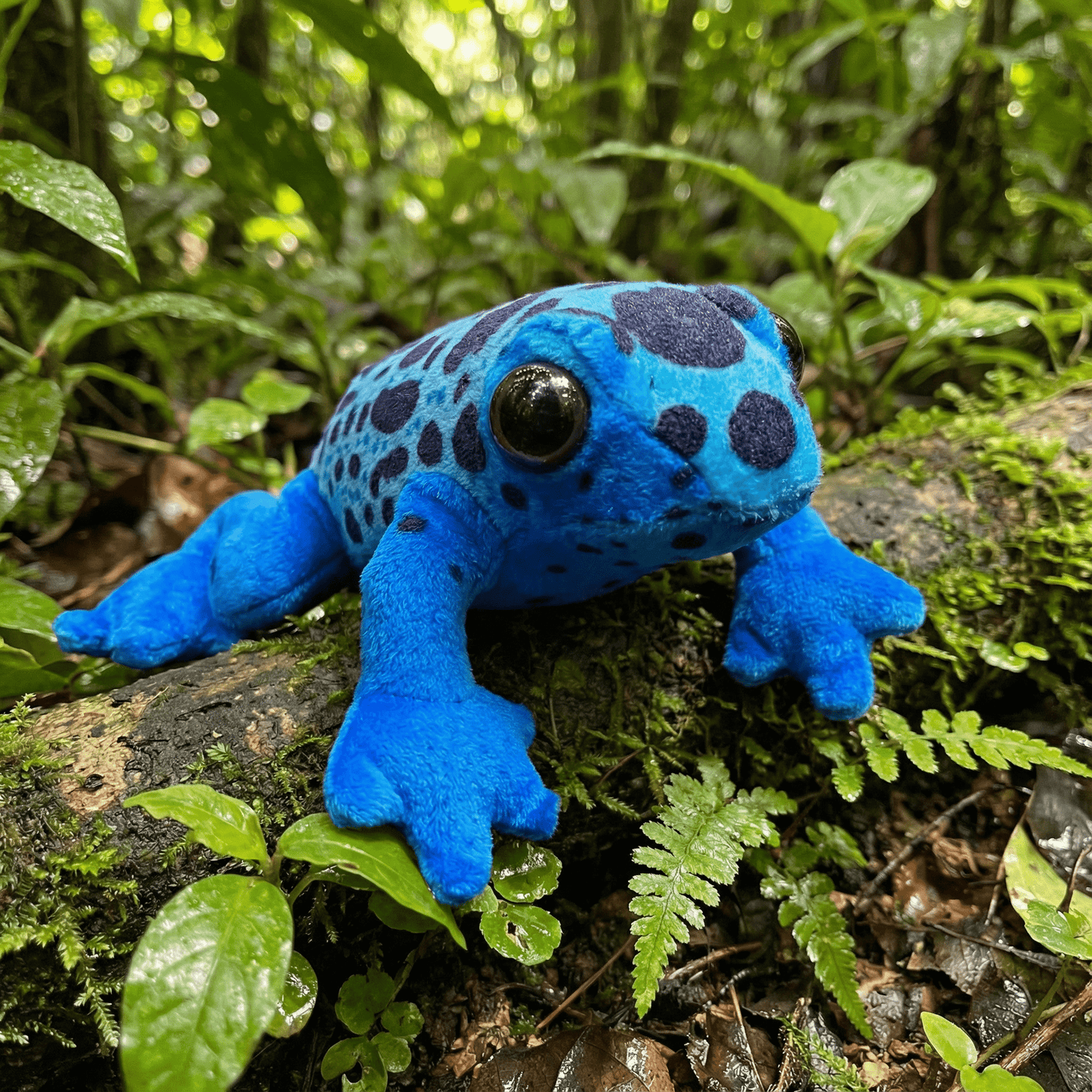 Blue Poison Dart Frog Stuffed Animal with Frog Sounds 8" | Wild Calls Blue Poison Dart Frog by Wild Republic