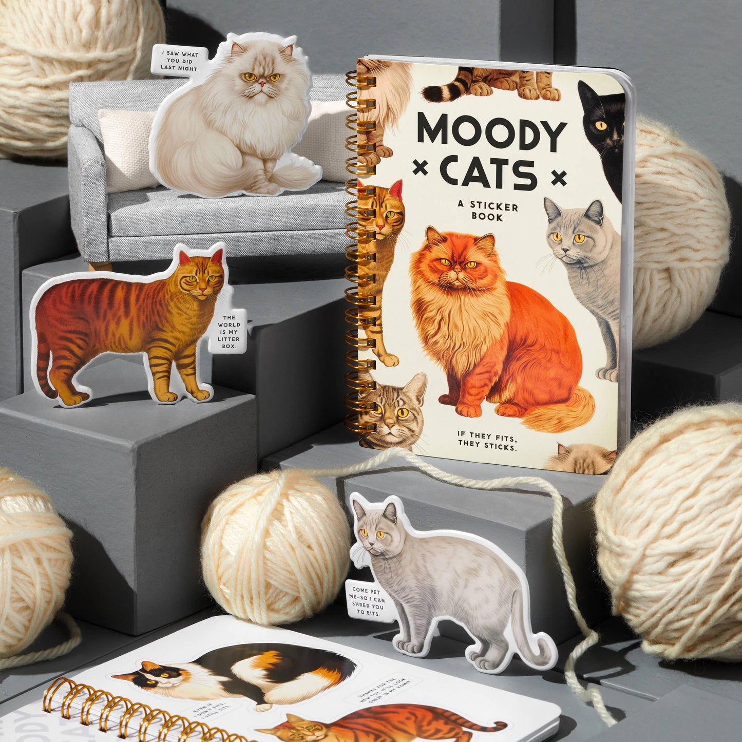 Sticker book titled 'Moody Cats' surrounded by cat-themed items on a gray surface.