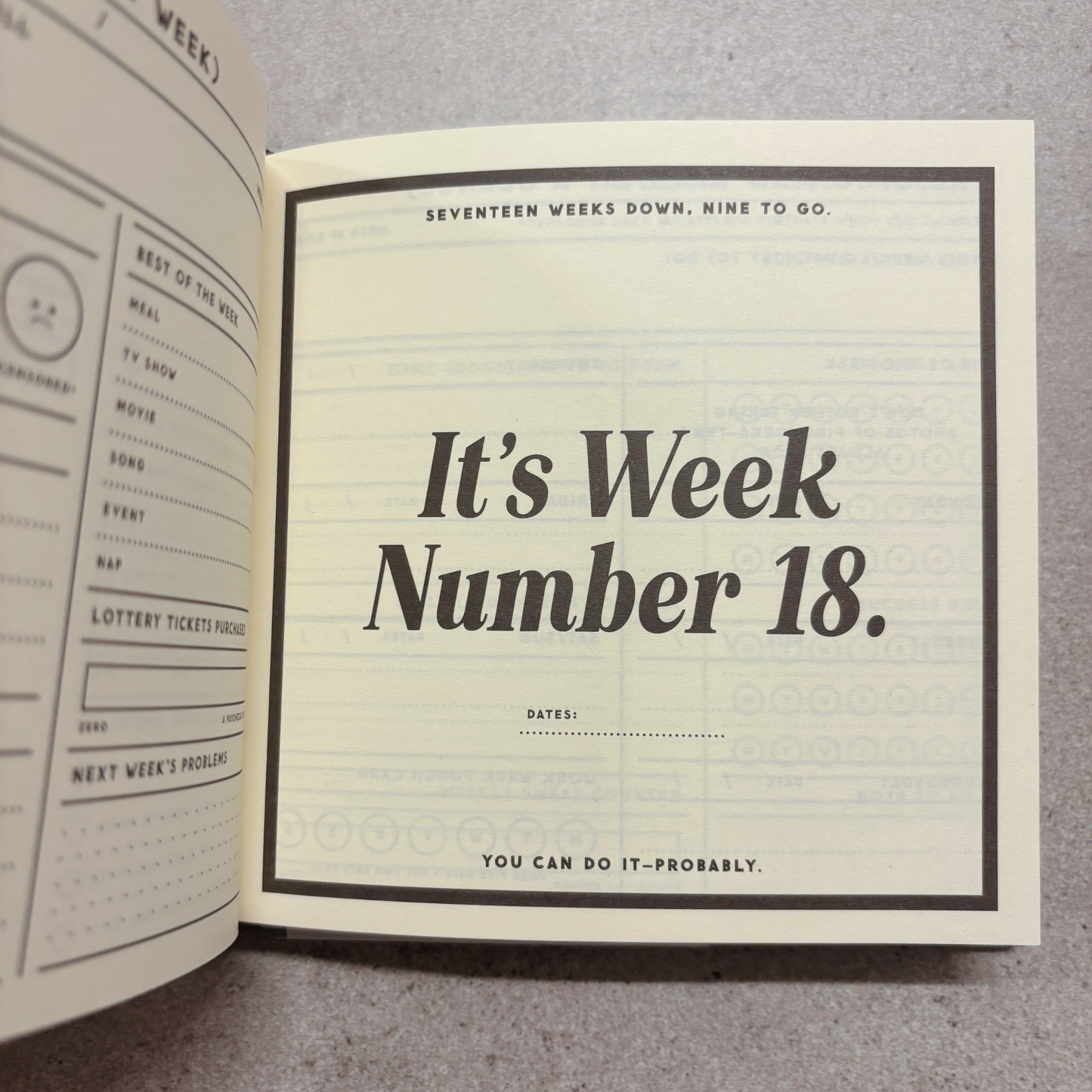 Brass Monkey "My Master Plan" Guided Productivity Journal | Hardcover Cloth Bound