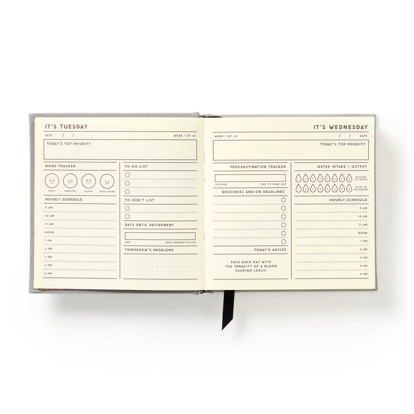 Brass Monkey "My Master Plan" Guided Productivity Journal | Hardcover Cloth Bound