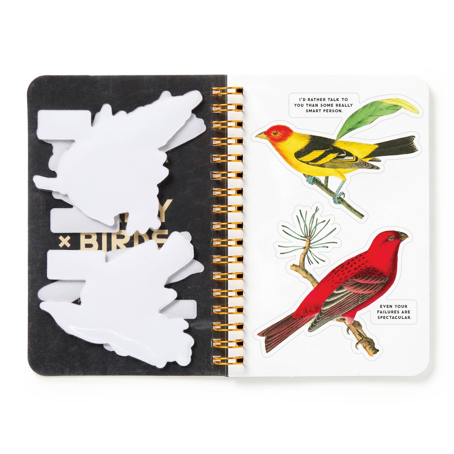 Brass Monkey Salty Birds Sticker Book | Vintage Illustrations Decals