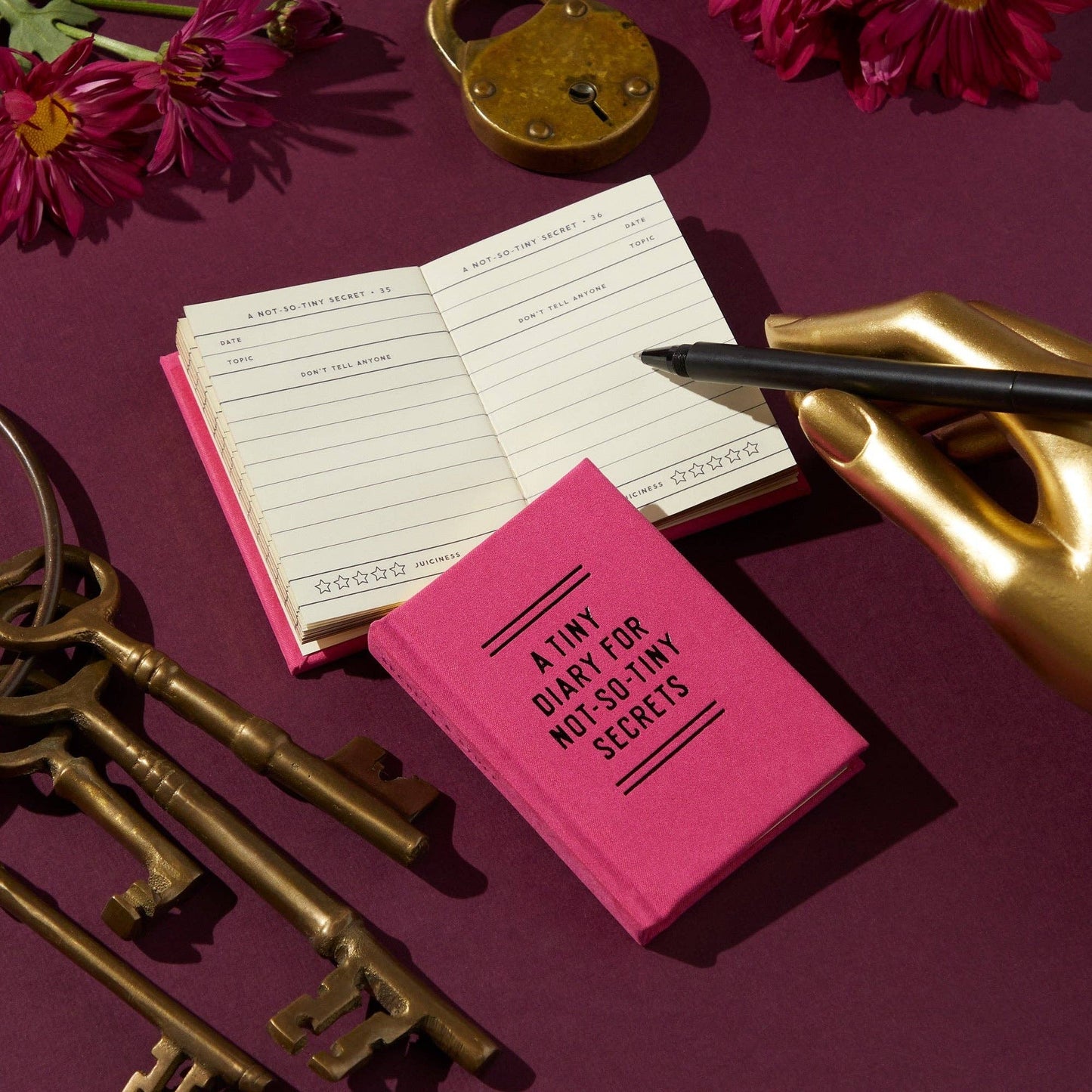 Brass Monkey Tiny Diary for Not So Tiny Secrets | Mini Record Journal Notebook | 2.75” x 3.75”