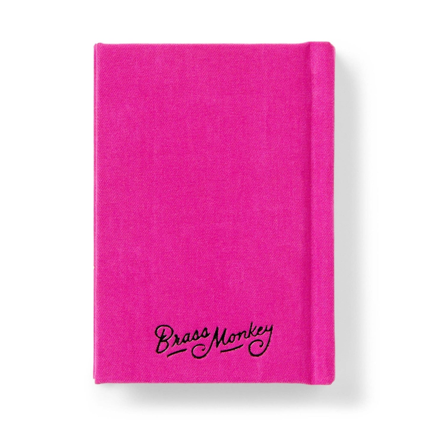 Brass Monkey Tiny Diary for Not So Tiny Secrets | Mini Record Journal Notebook | 2.75” x 3.75”