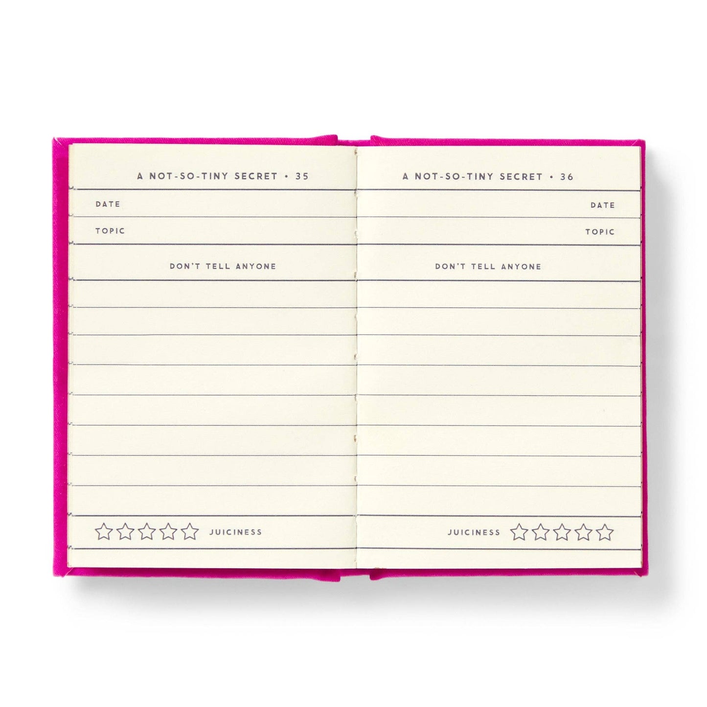 Brass Monkey Tiny Diary for Not So Tiny Secrets | Mini Record Journal Notebook | 2.75” x 3.75”