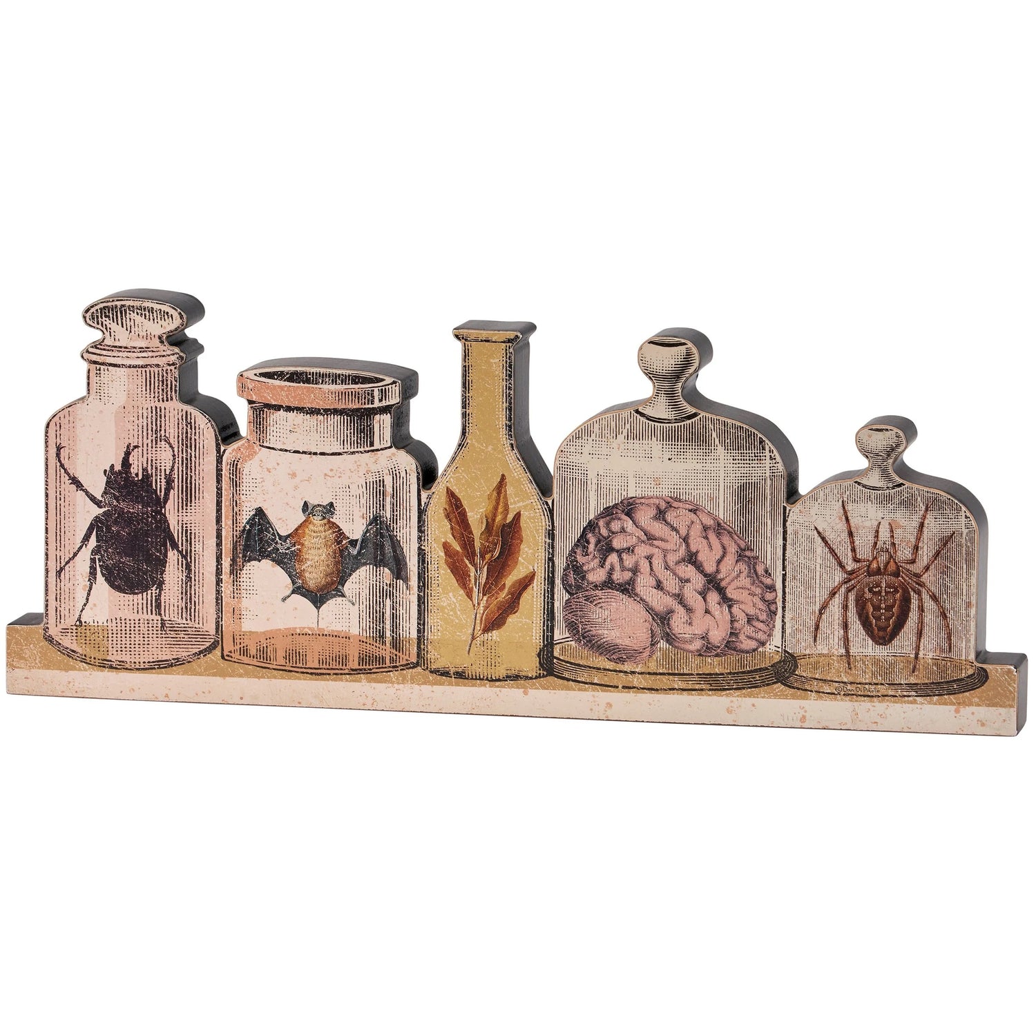 Decorative shelf with glass jars featuring illustrations of a brain, bat, spider, and other creatures on a white background.