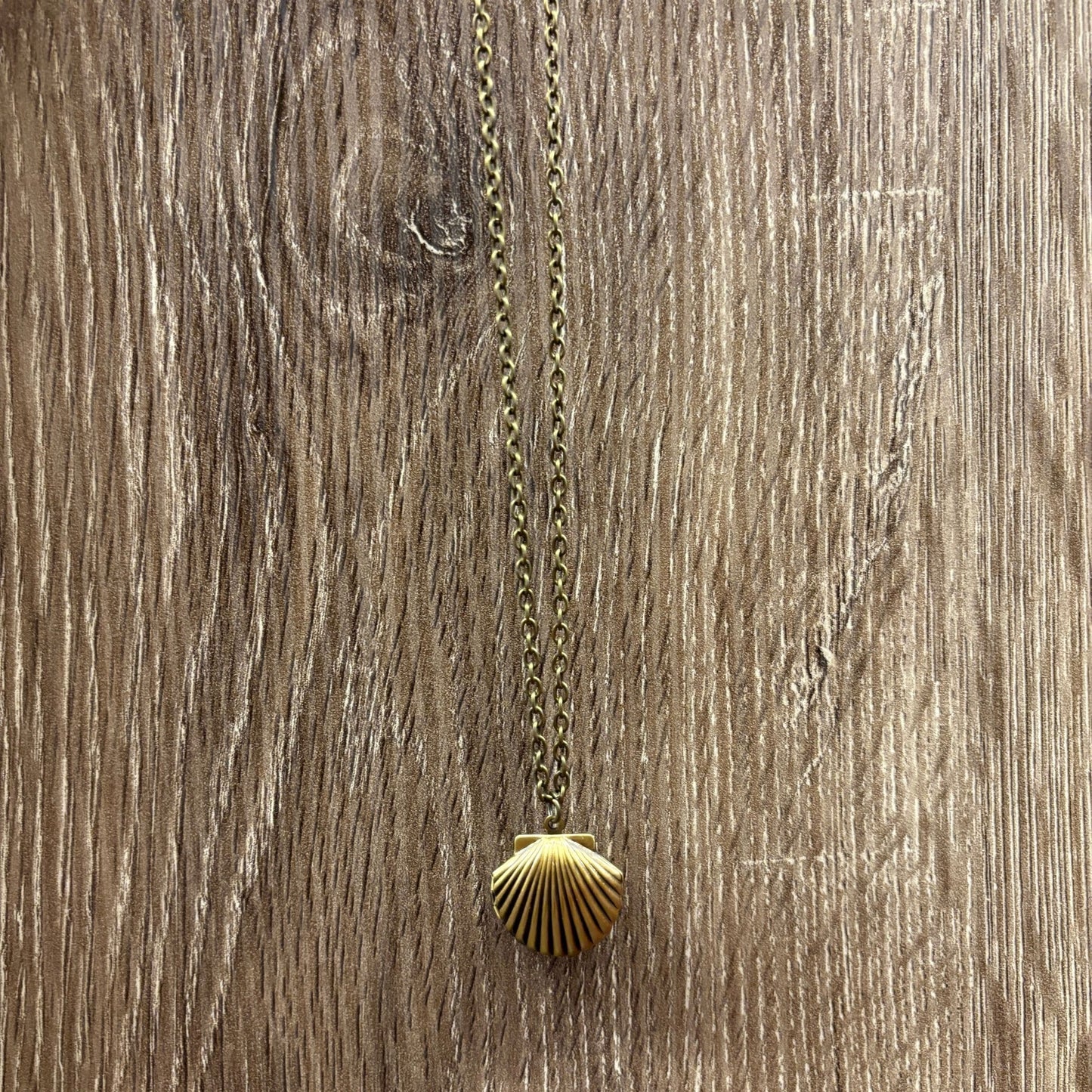 Bronze Seashell Locket Pendant Necklace | Vintage Ocean-Inspired Charm