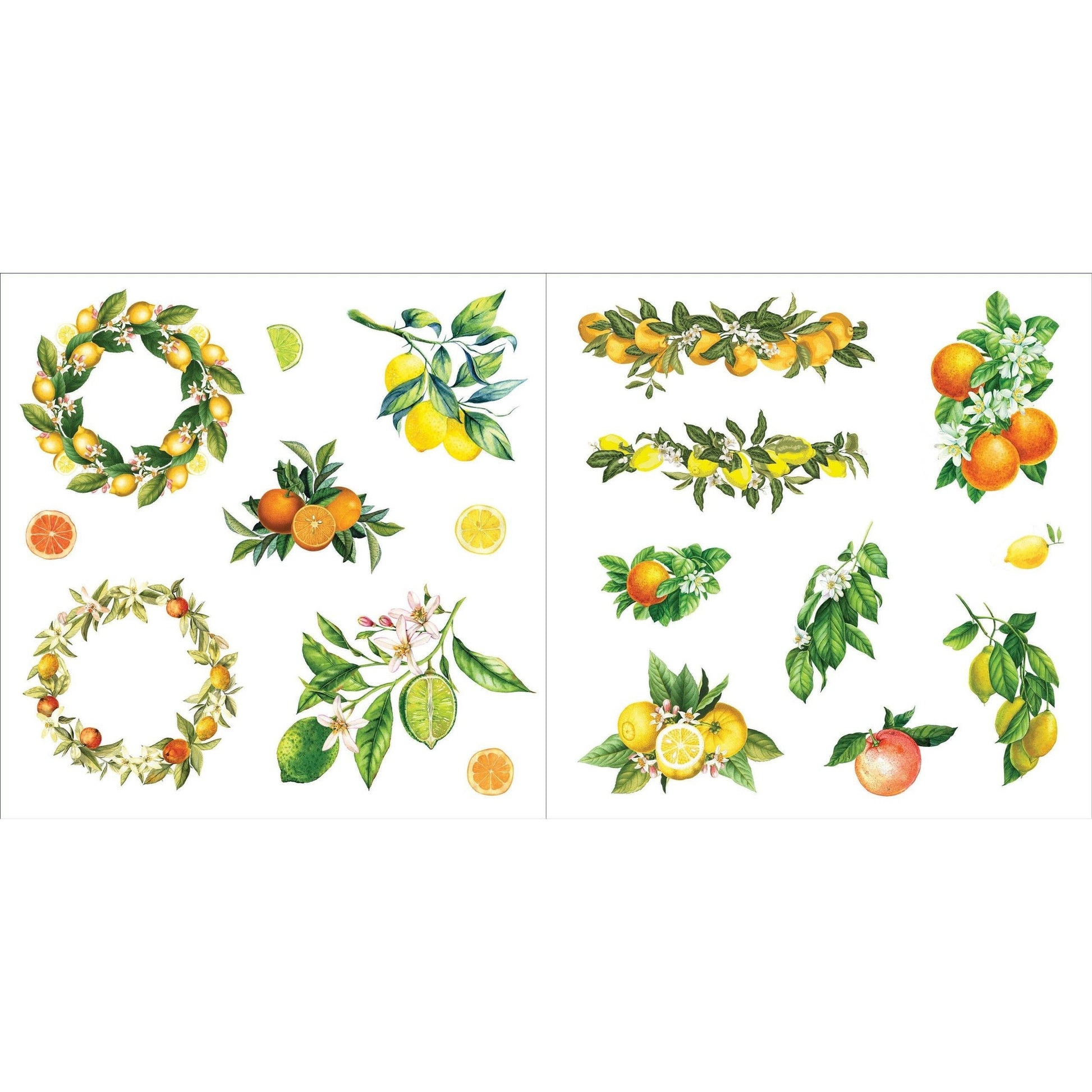 Bunches of Botanicals Decorative Stickers | A Blooming Sticker Book | Over 500 Decals