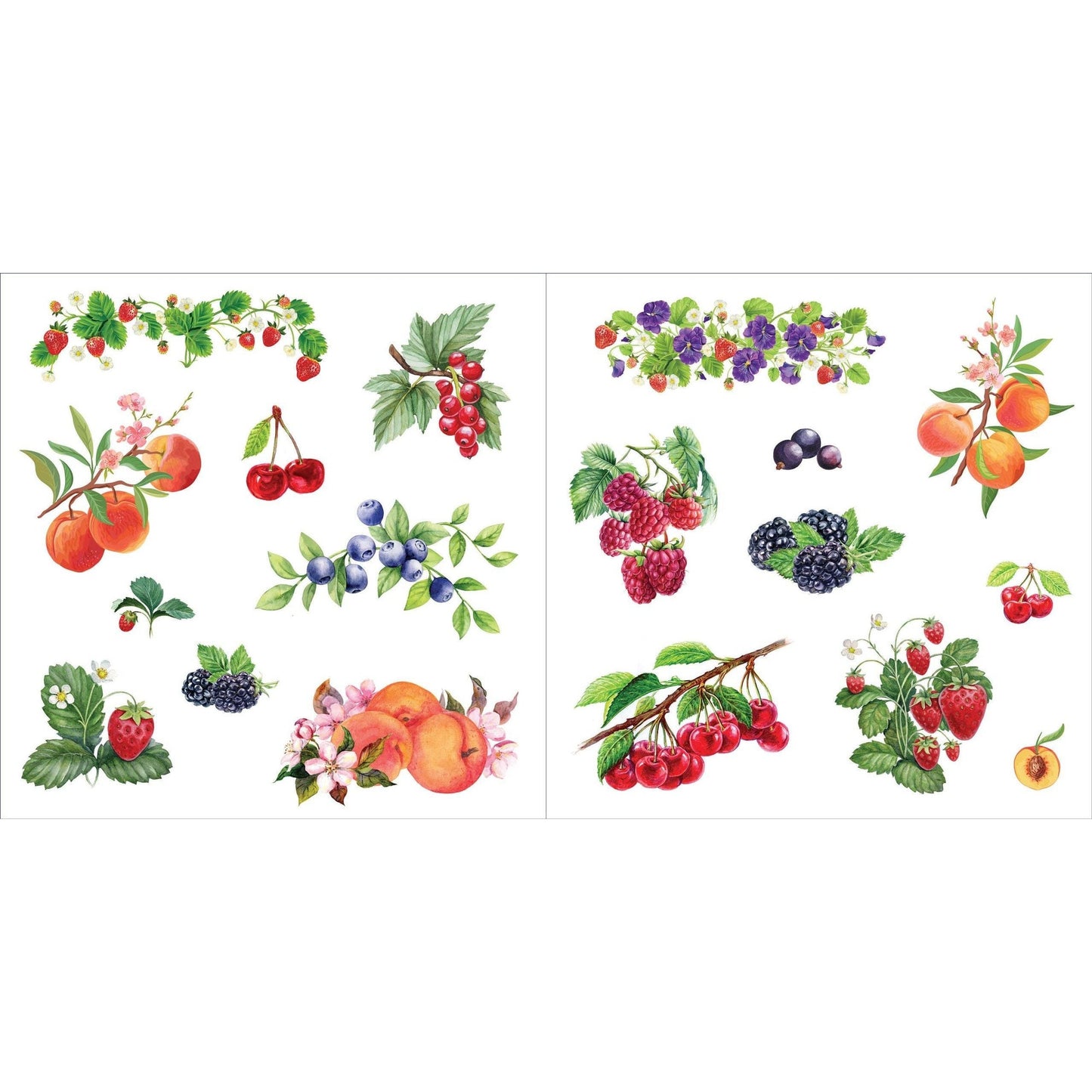 Bunches of Botanicals Decorative Stickers | A Blooming Sticker Book | Over 500 Decals