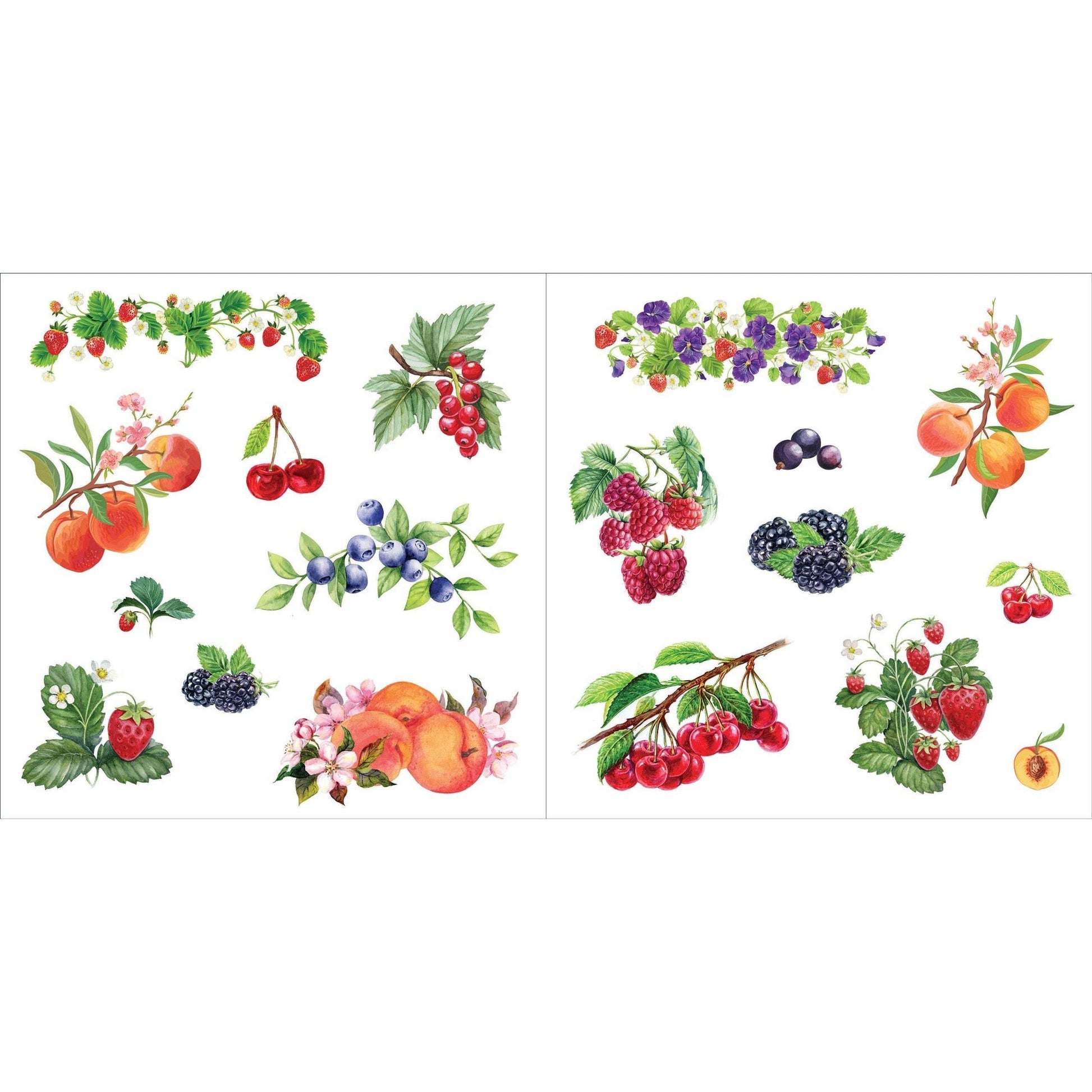 Bunches of Botanicals Decorative Stickers | A Blooming Sticker Book | Over 500 Decals