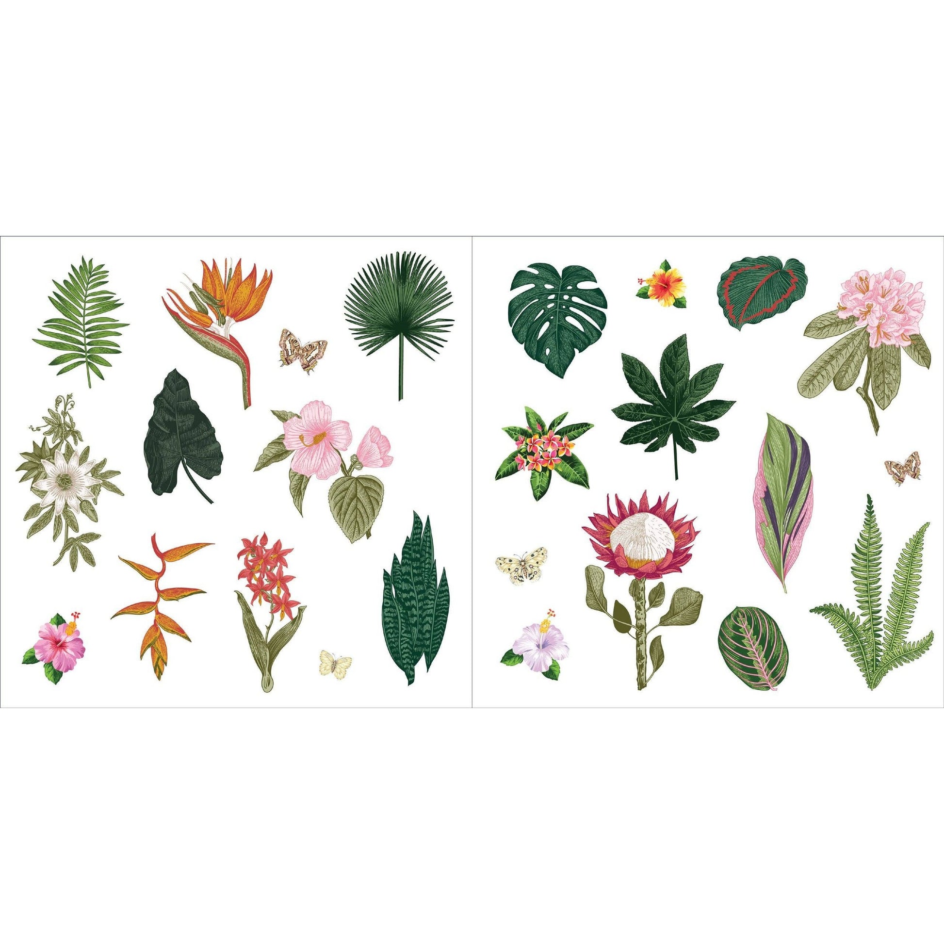 Bunches of Botanicals Decorative Stickers | A Blooming Sticker Book | Over 500 Decals