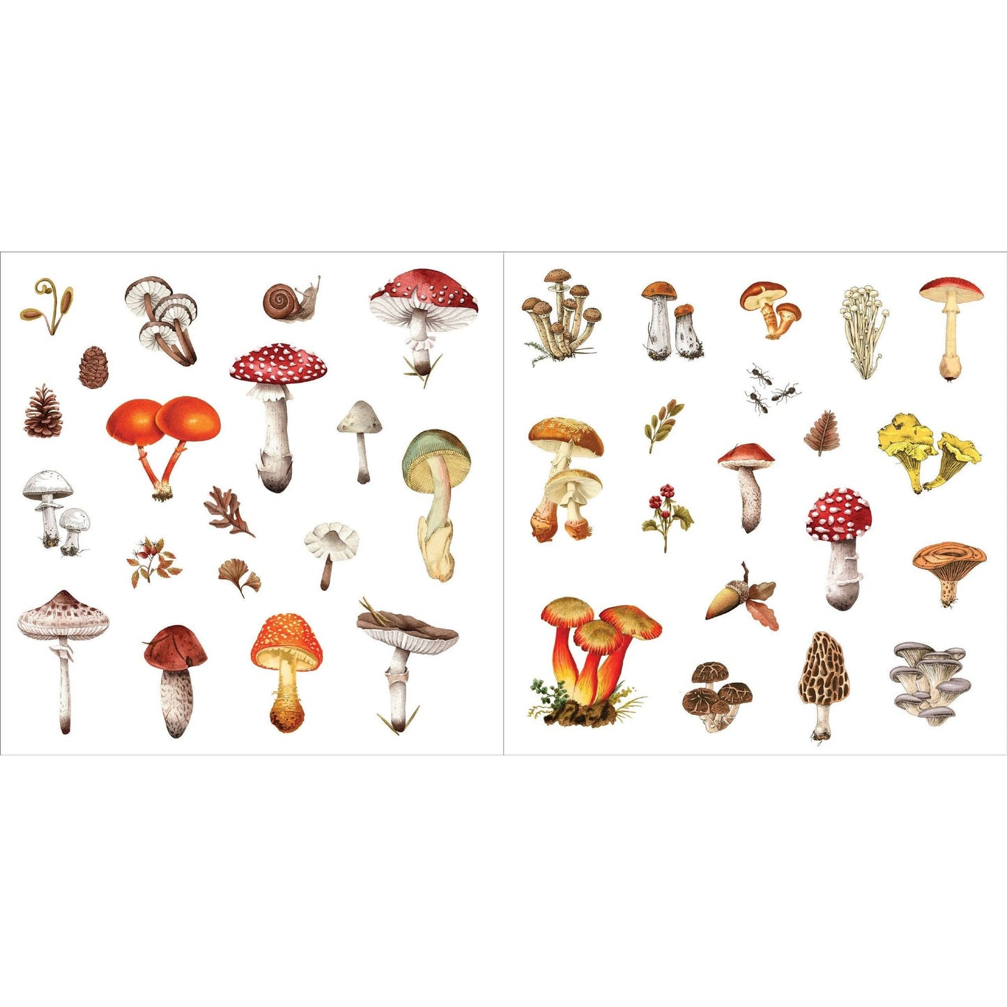 Bunches of Botanicals Decorative Stickers | A Blooming Sticker Book | Over 500 Decals