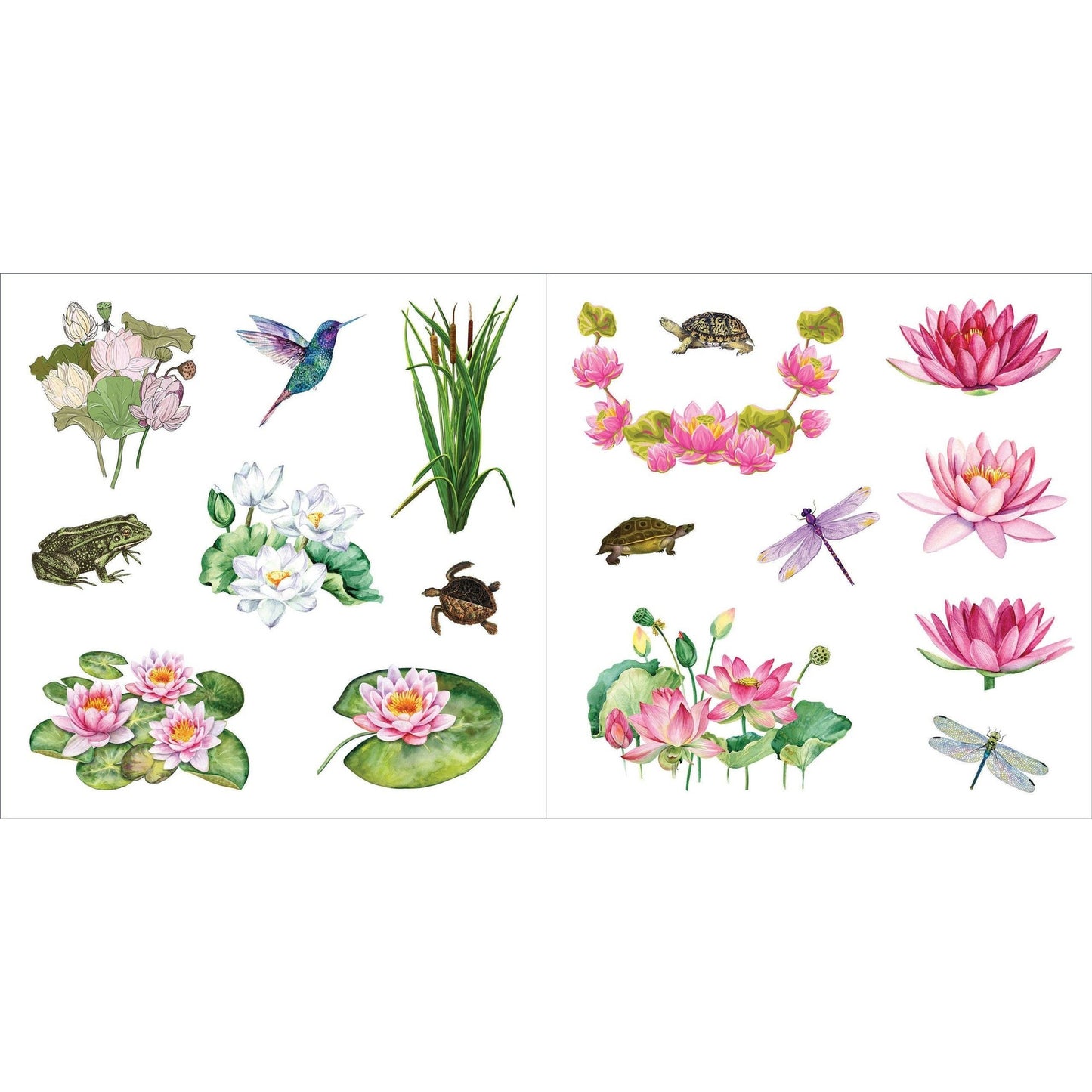 Bunches of Botanicals Decorative Stickers | A Blooming Sticker Book | Over 500 Decals