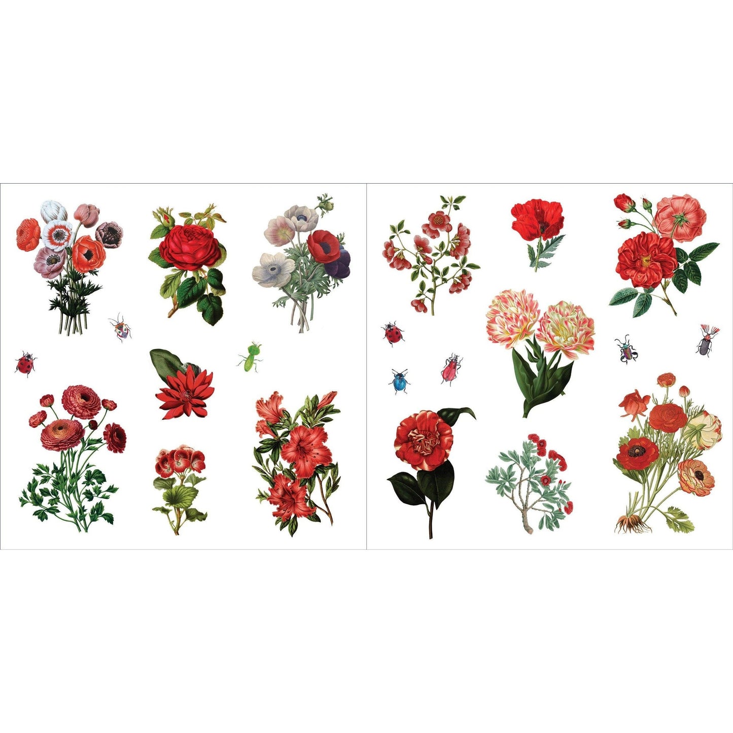 Bunches of Botanicals Decorative Stickers | A Blooming Sticker Book | Over 500 Decals