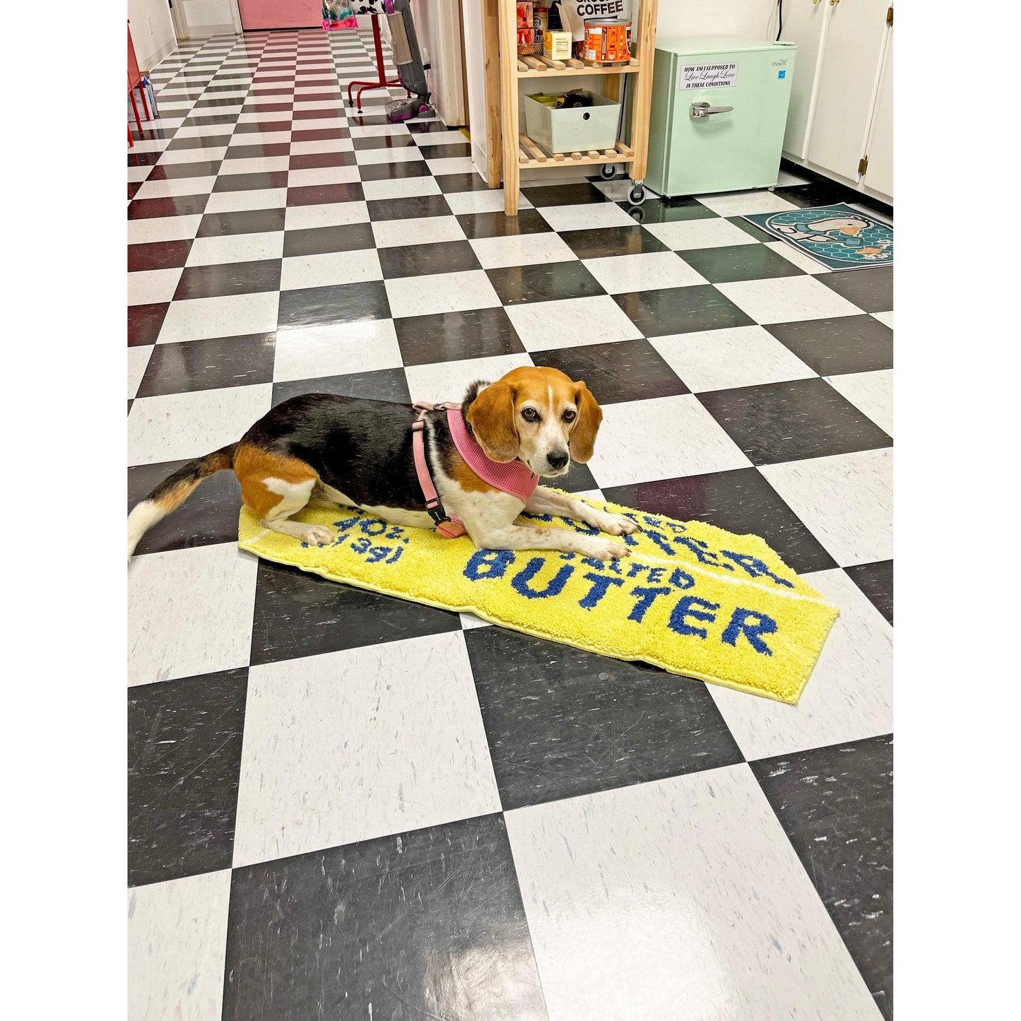 Butter Ultrasoft Rug in Yellow | Slip Resistant Door Mat 38" x 14"