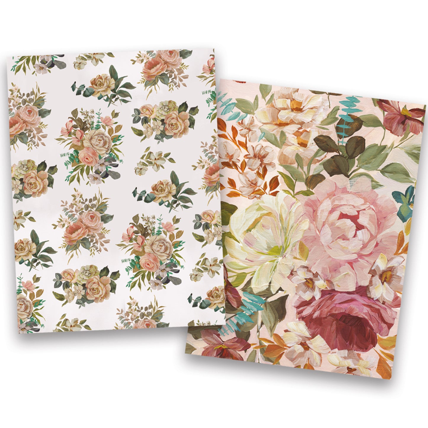 Cabbage Rose Watercolor Note Card Set of 8
