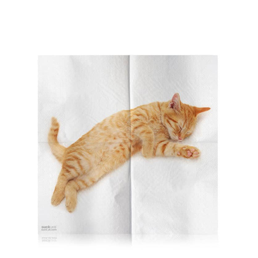 Cat Illusion Paper Napkins | 4 Different Designs to Place in Your Lap