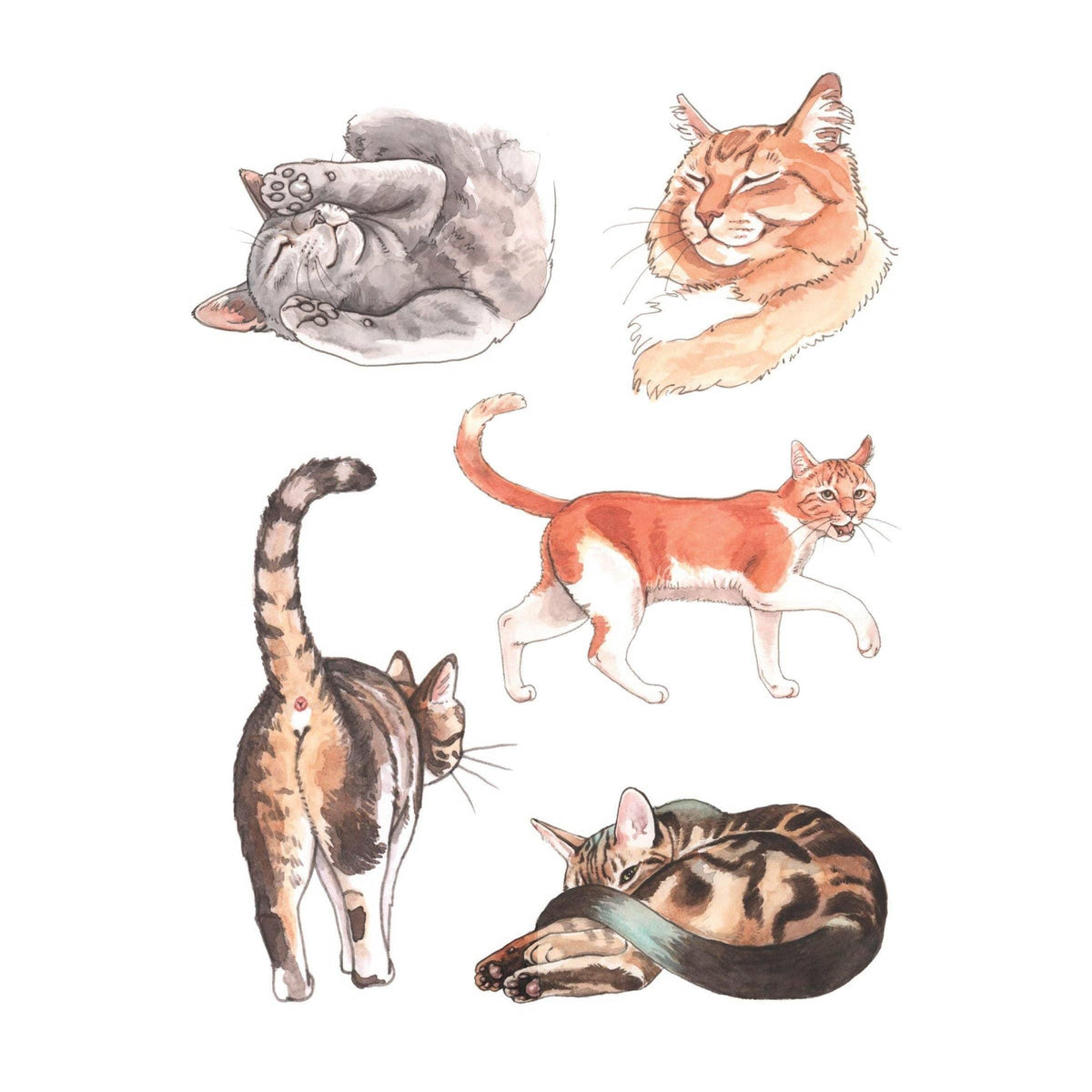 Cat's Meow Sticker Book | 100 Feline Stickers
