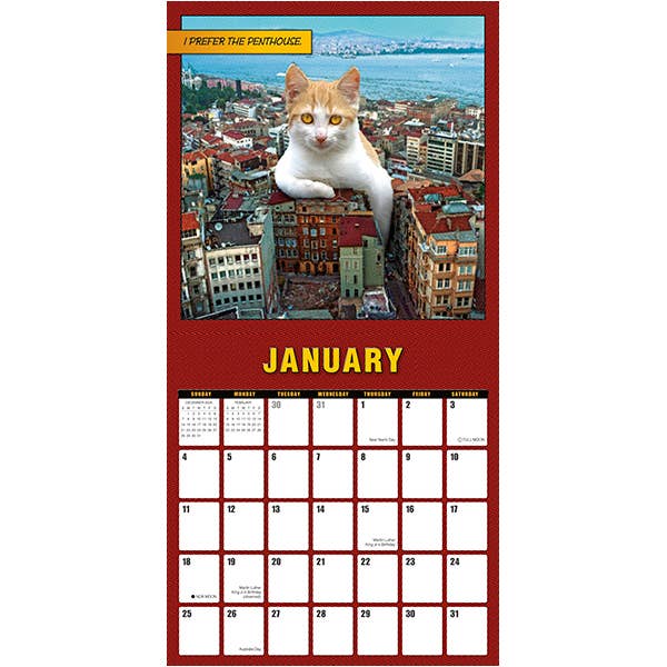 Catzilla 2026 Wall Calendar | Funny Cats Calendar Poster | 12'' x 12''