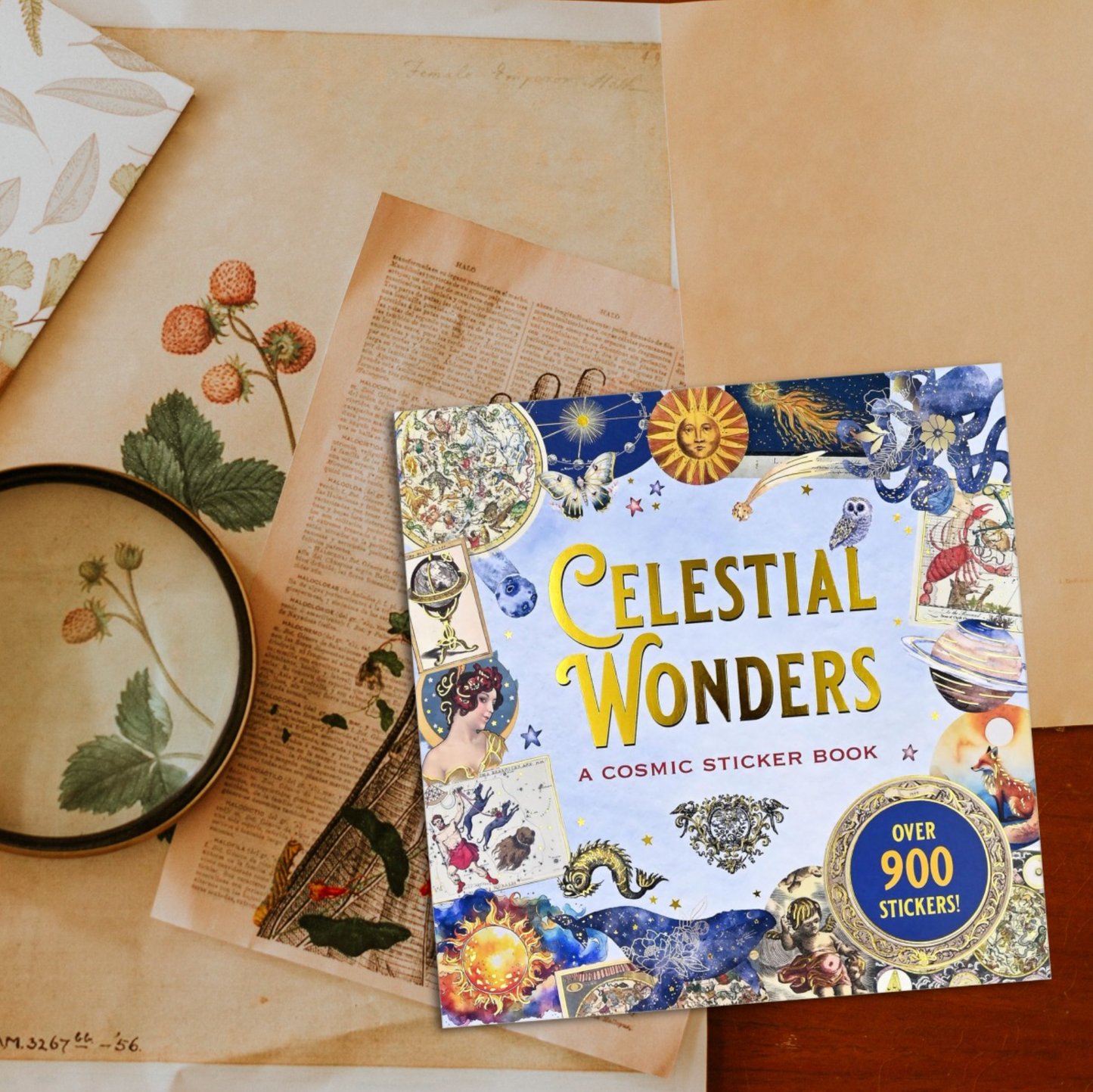 Celestial Wonders Sticker Book | Cosmic Planets Stars | Over 900 Stickers